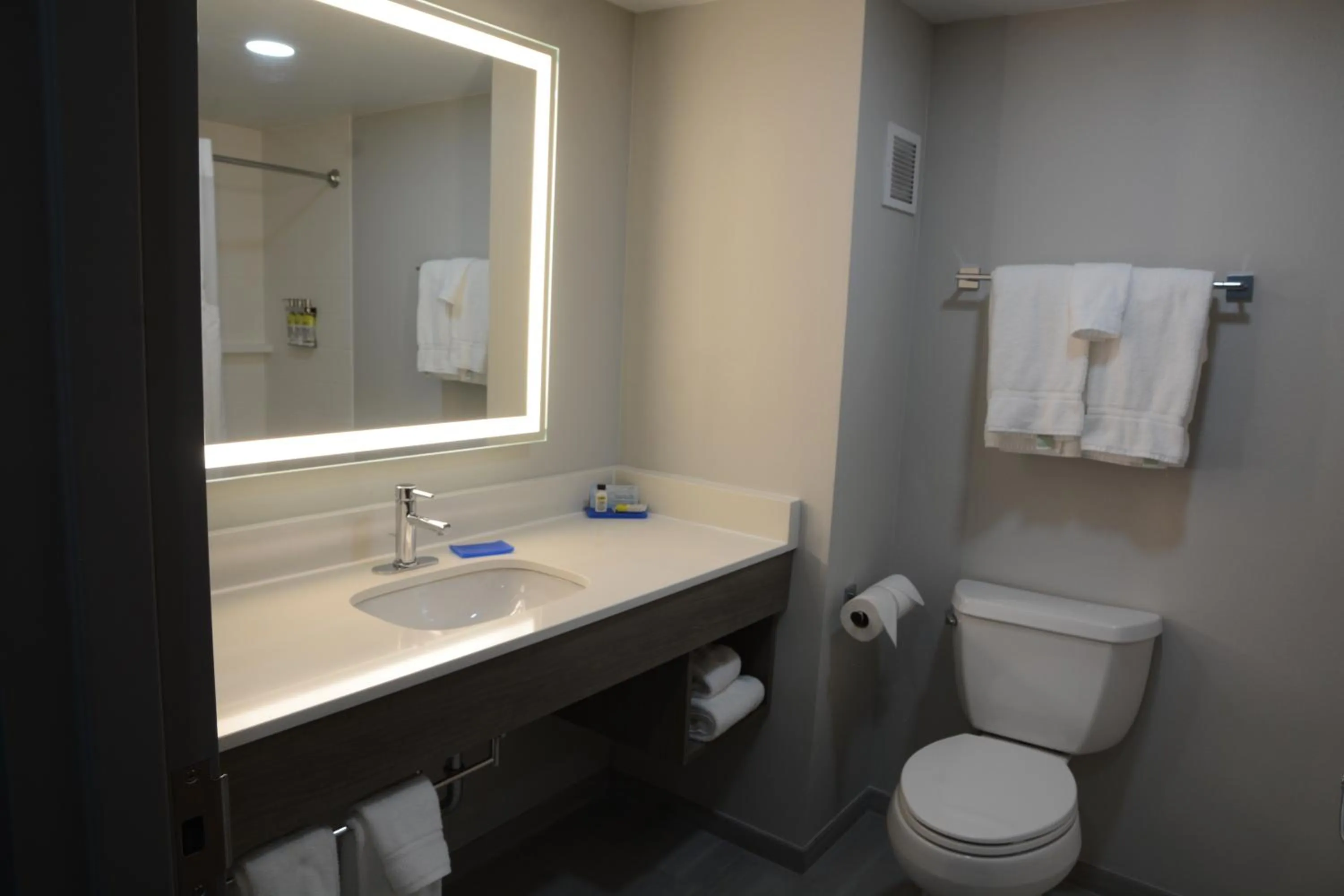 Bathroom in Holiday Inn Express Athens by IHG