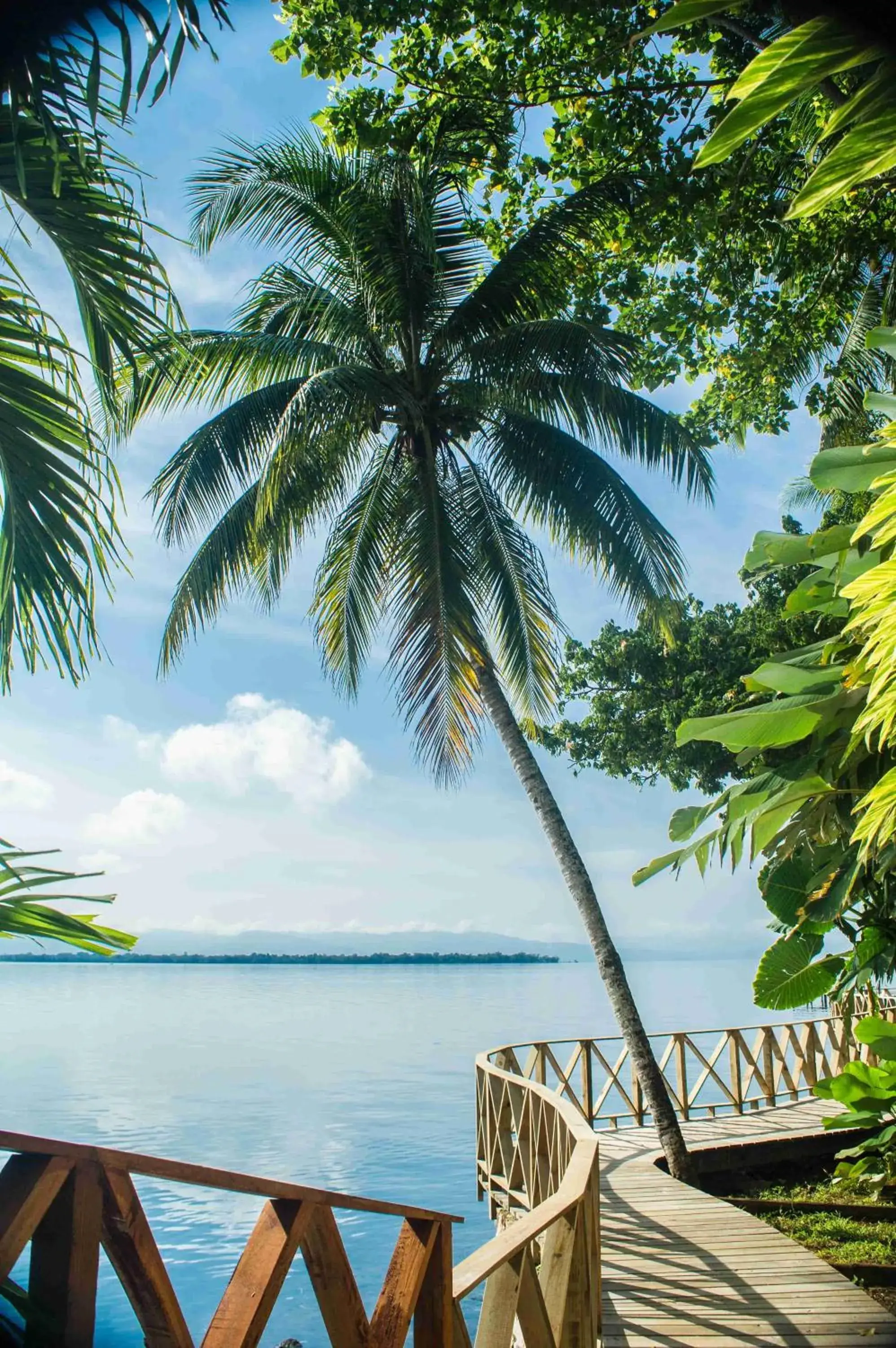 Banana Palms Hotel Banana Palms Hotel