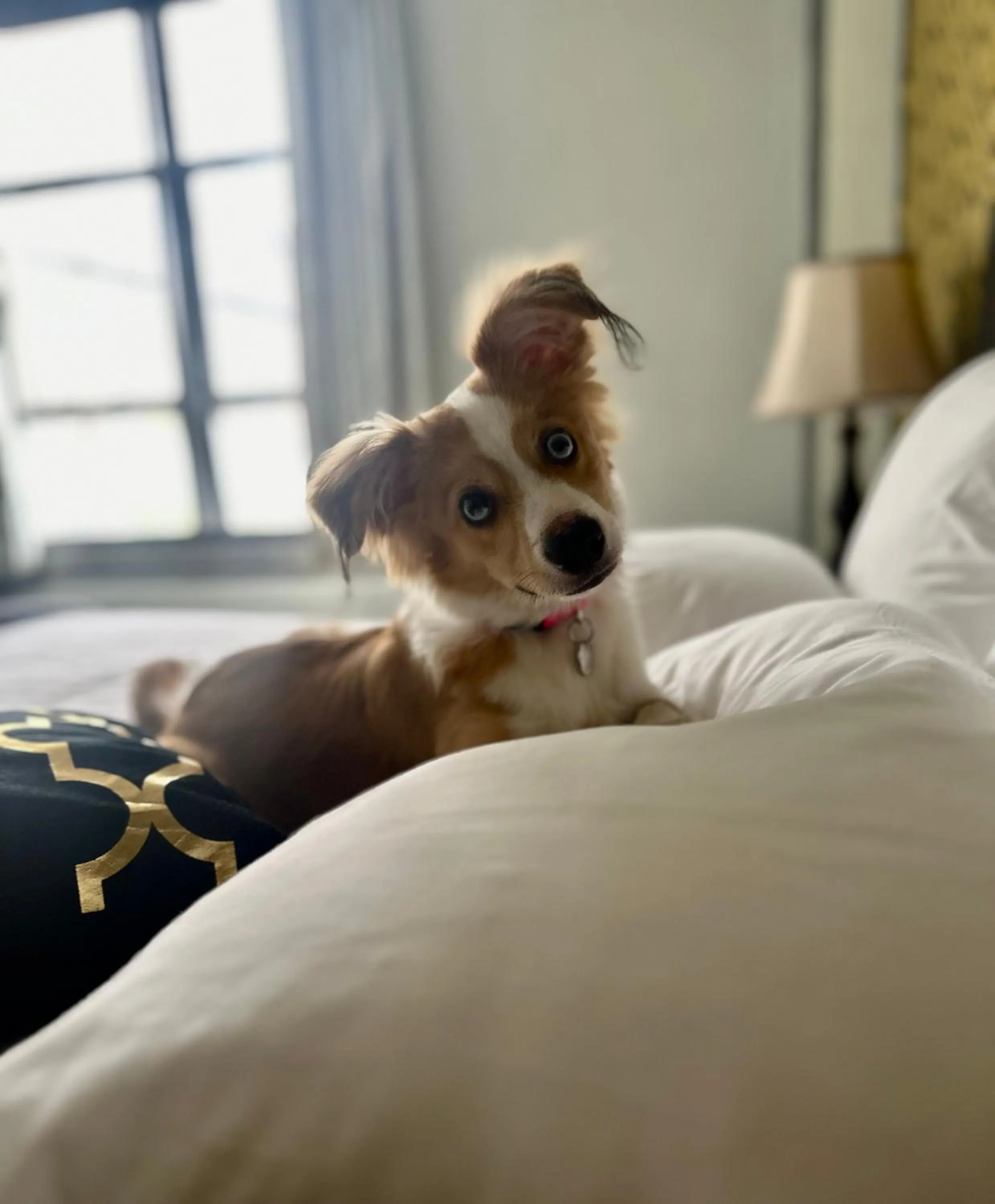 Bed in Latchis Hotel