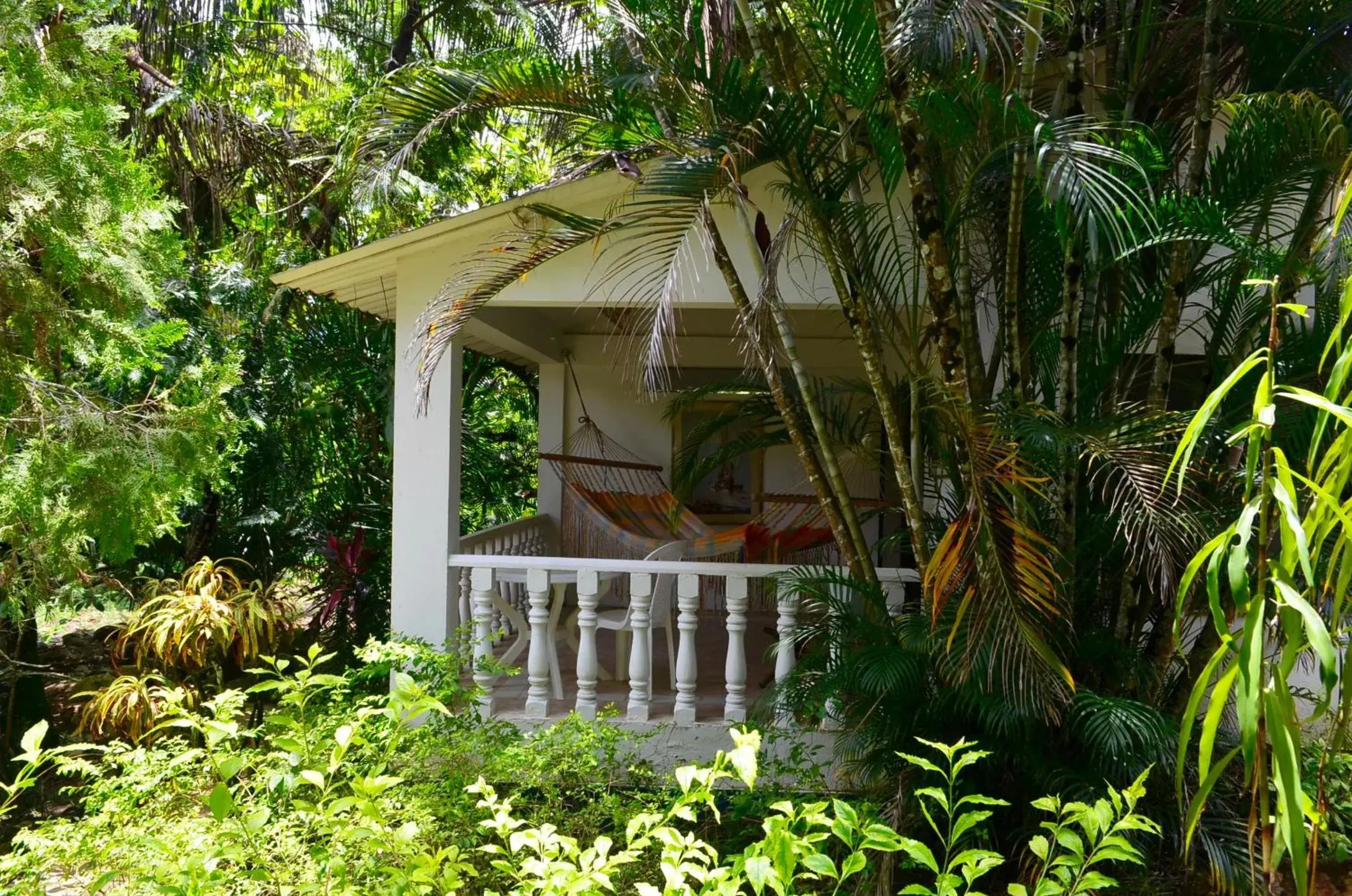 Double Room in Amanwana Ecofinca Double Room in Amanwana Ecofinca