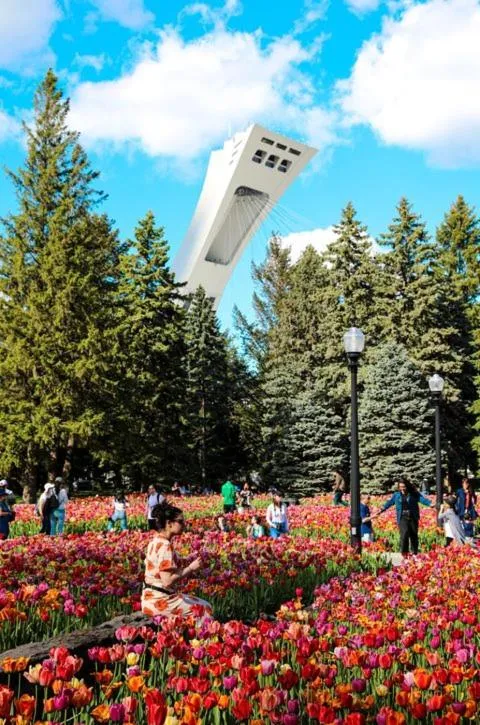 Nearby landmark in MTLVacationrentals-The MTLVR Kisses