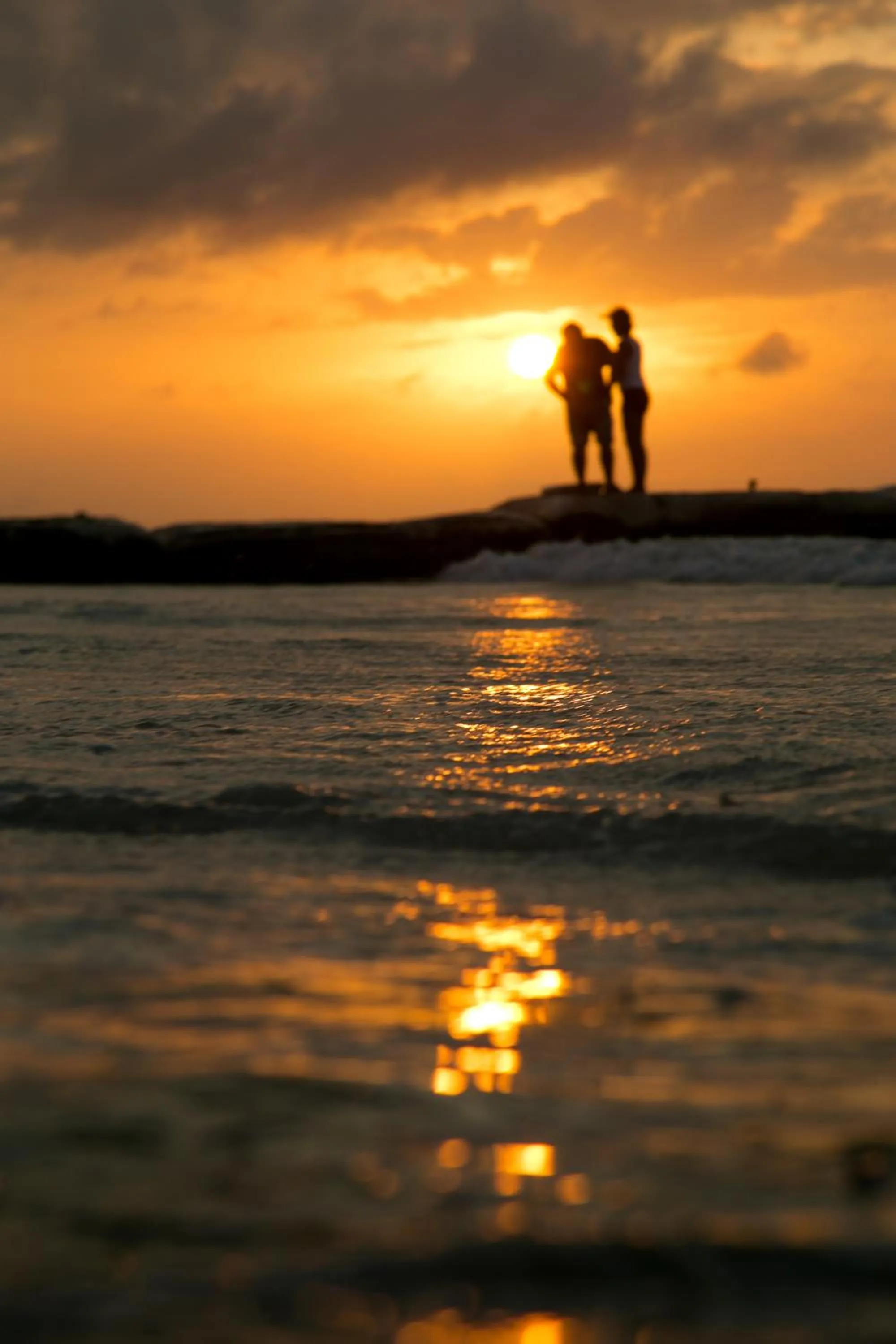 Natural landscape in Villas Margaritas Holbox