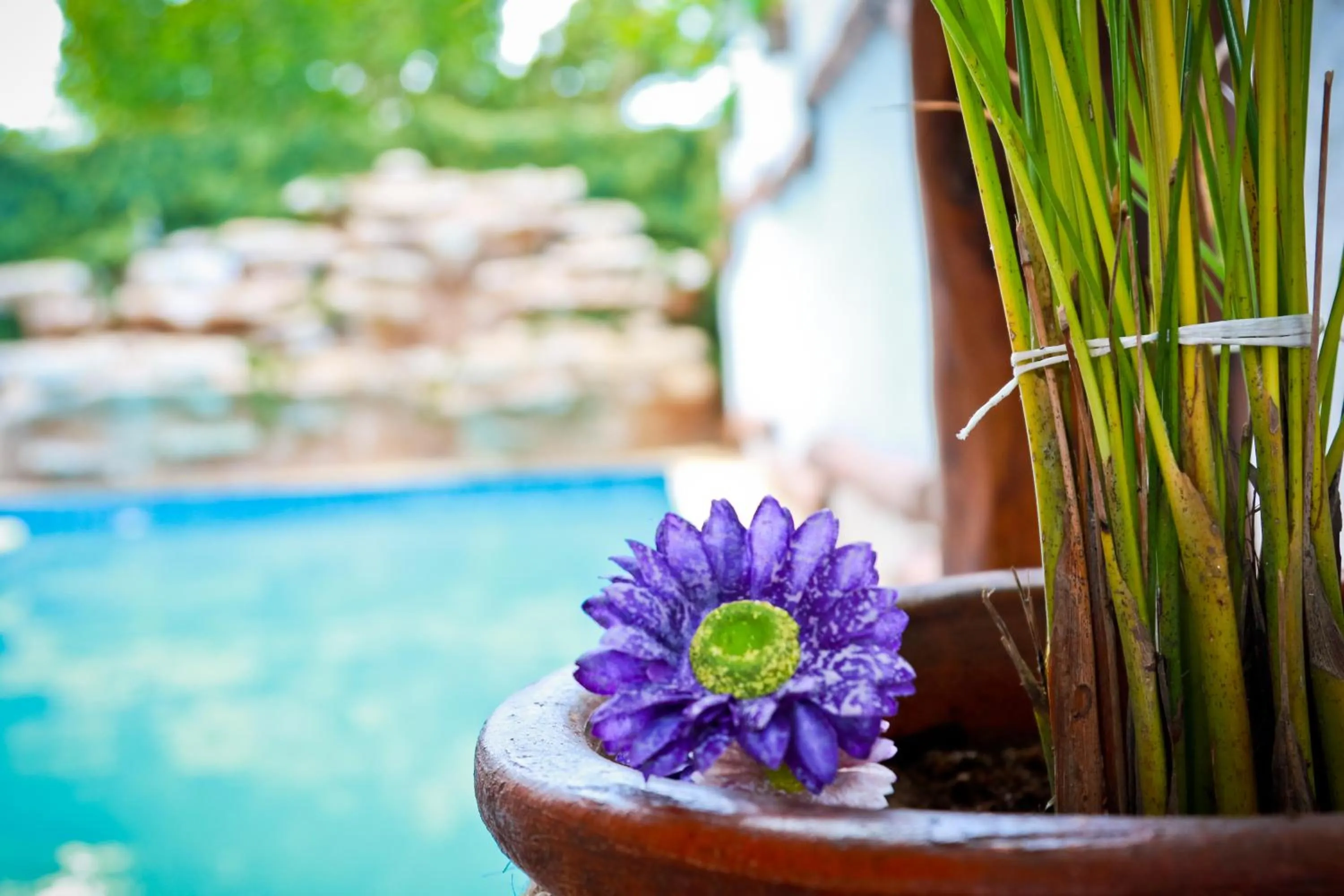 Decorative detail in Villas Margaritas Holbox
