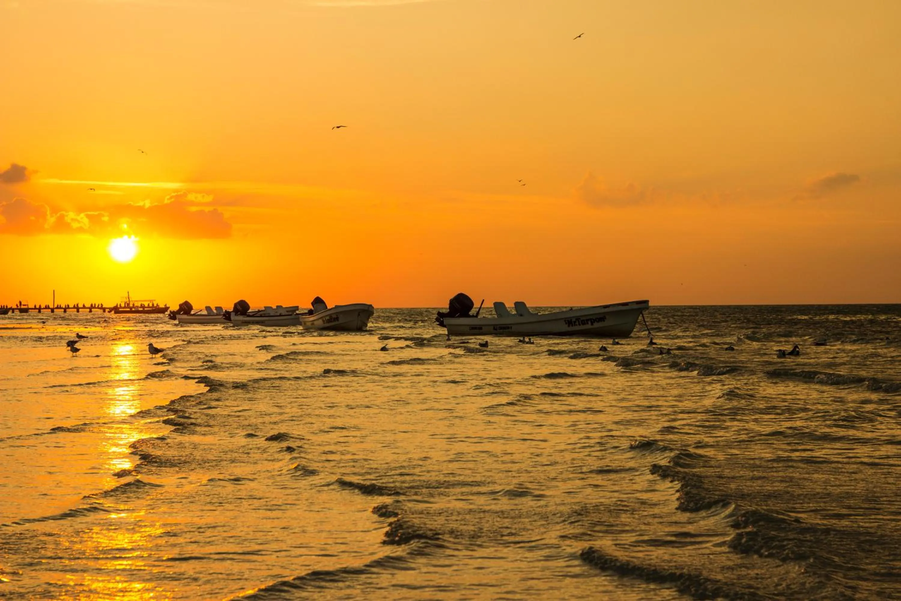 Natural landscape in Villas Margaritas Holbox