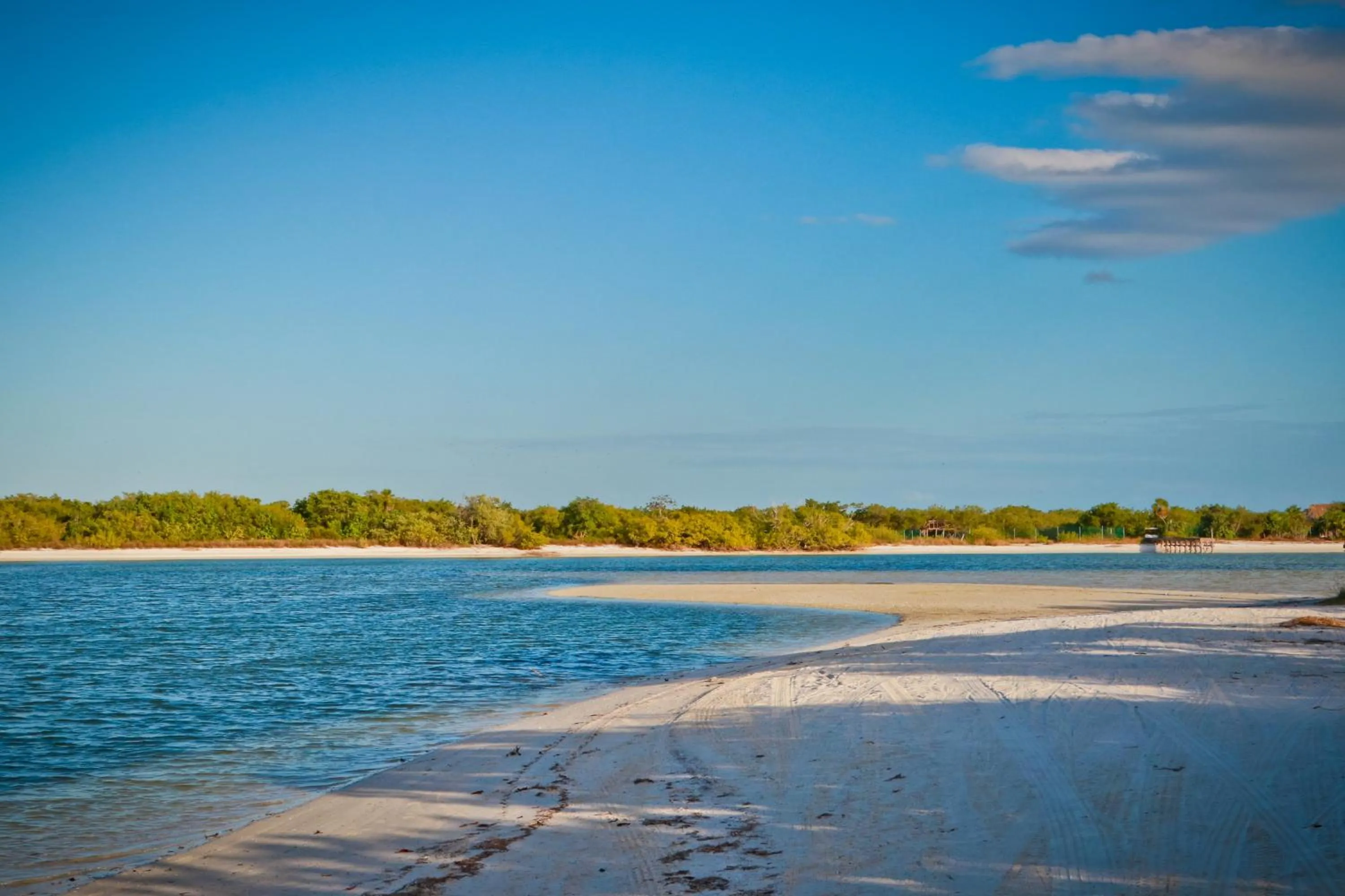 Natural landscape in Villas Margaritas Holbox