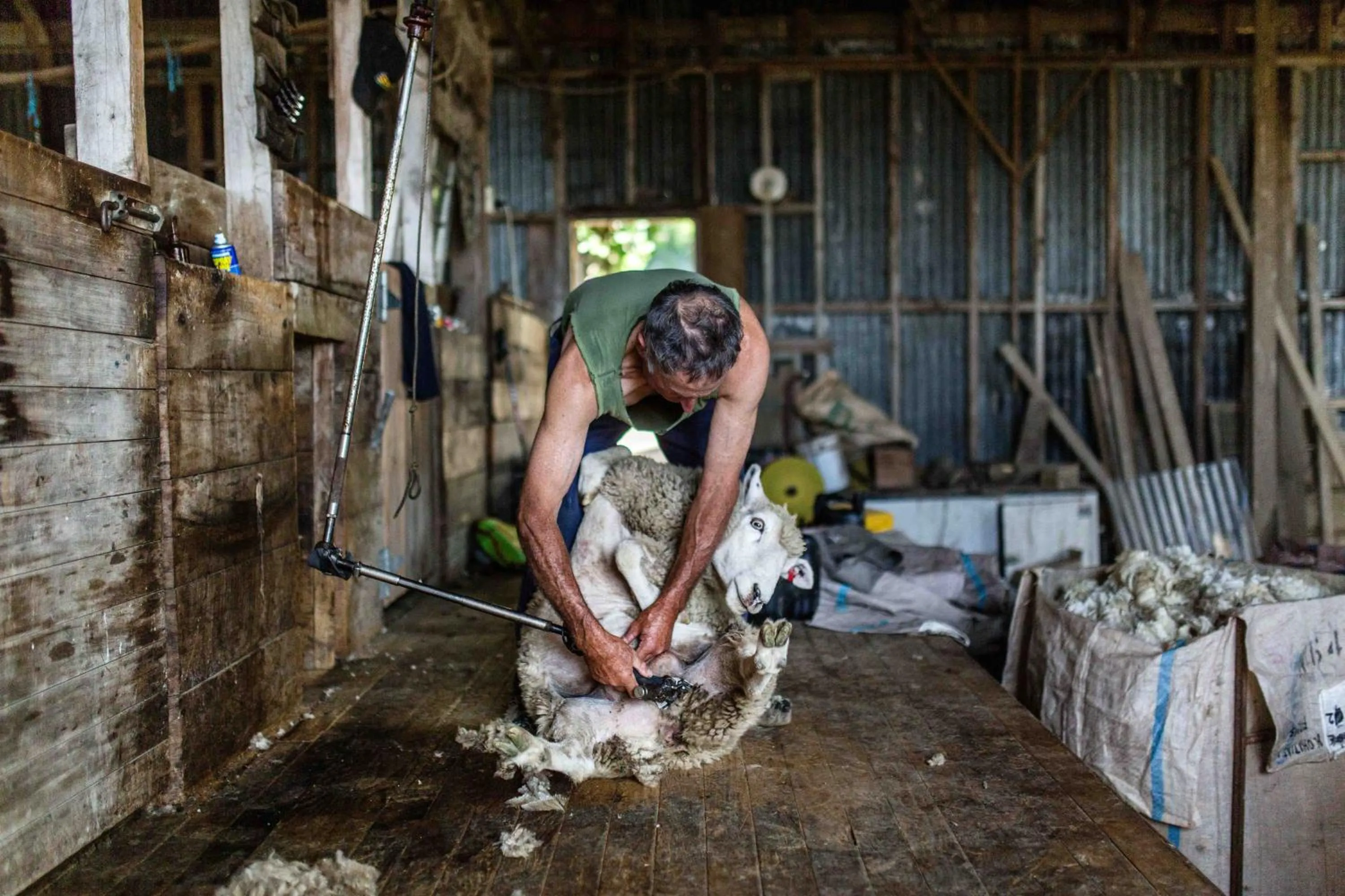 Activities in The Pear Orchard Lodge