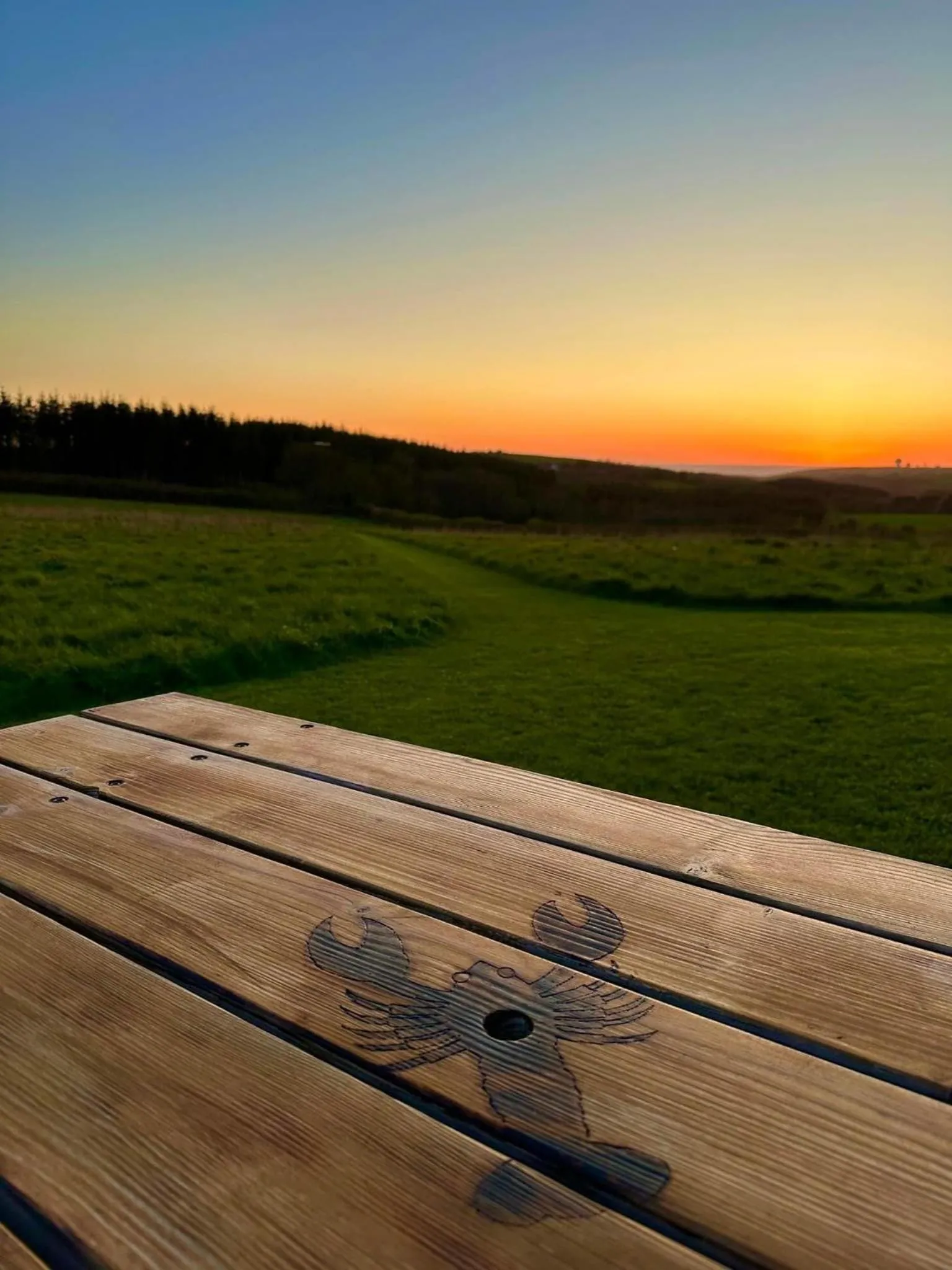 View (from property/room) in Pentire Coastal Holiday Park