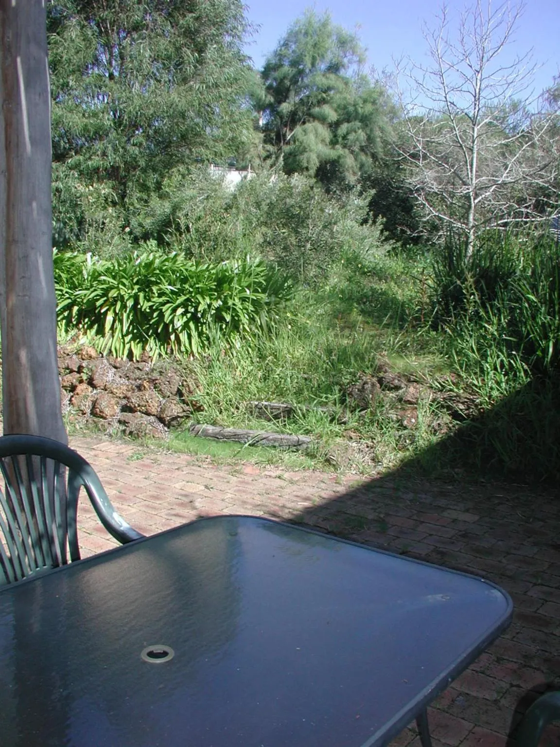 Garden in Rainbow House