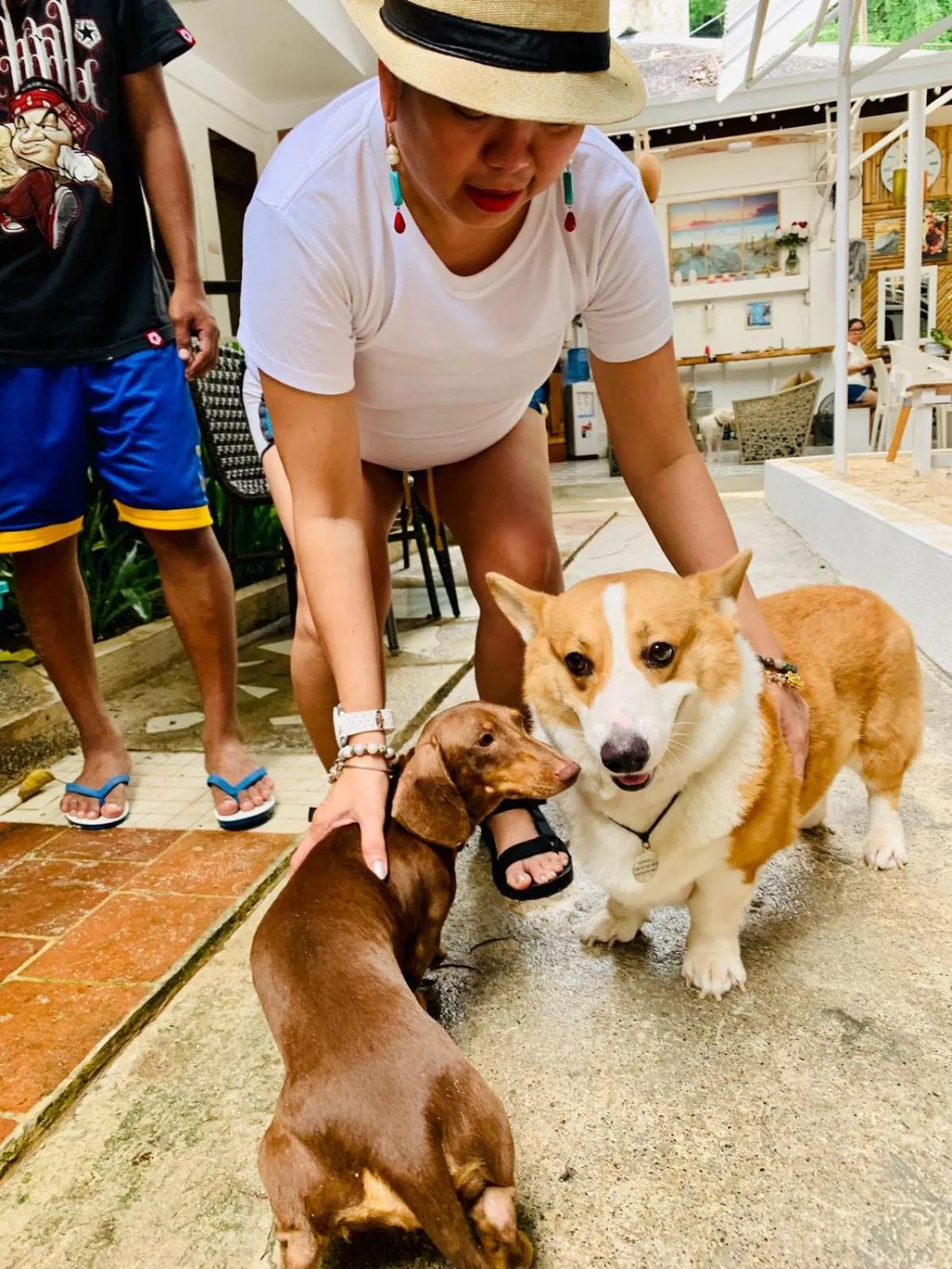 Pets in Everrich Boutique Resort Boracay