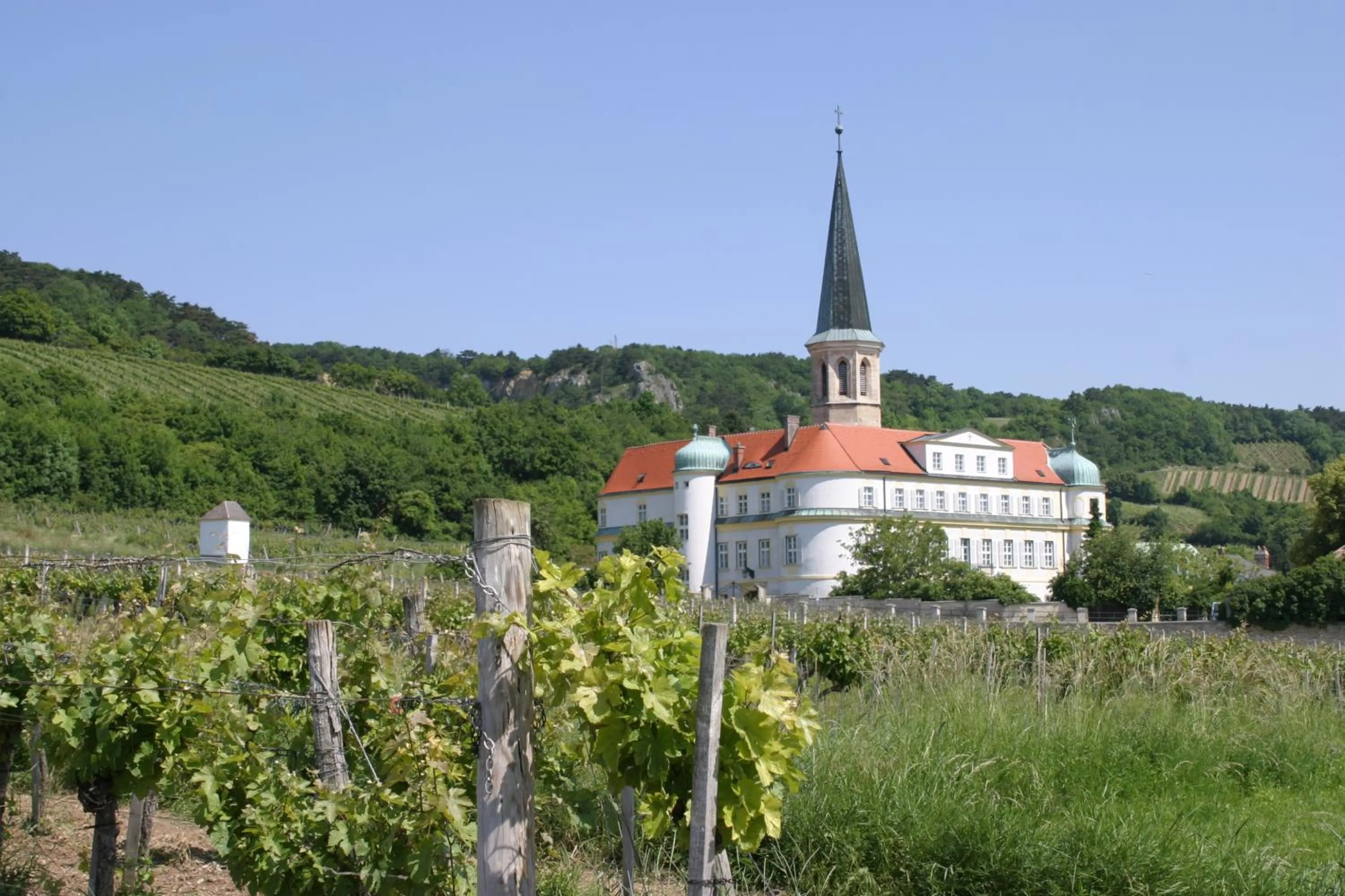 Facade/entrance in Schloss Gumpoldskirchen