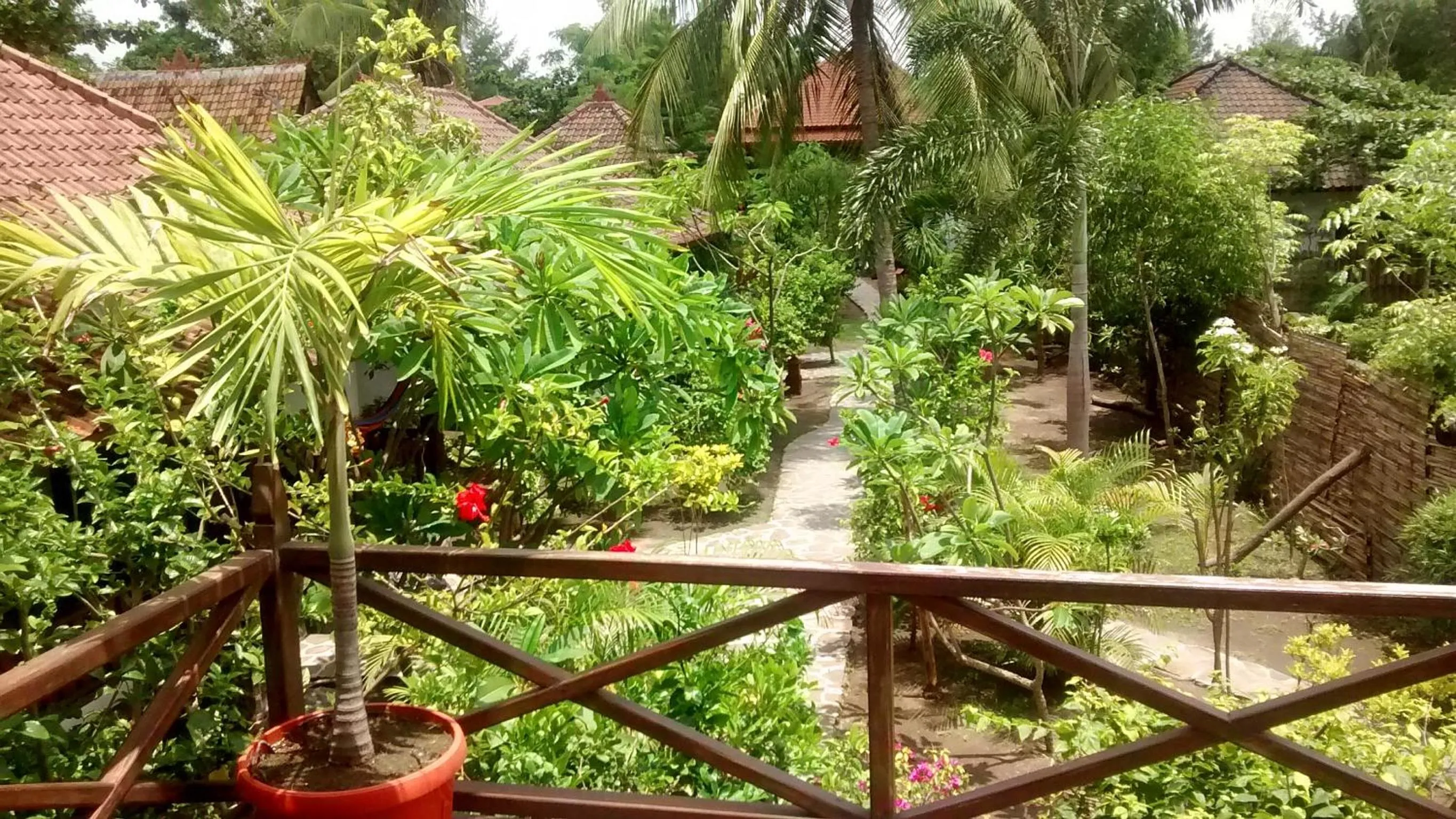 Garden in Mango Dive & Bungalow
