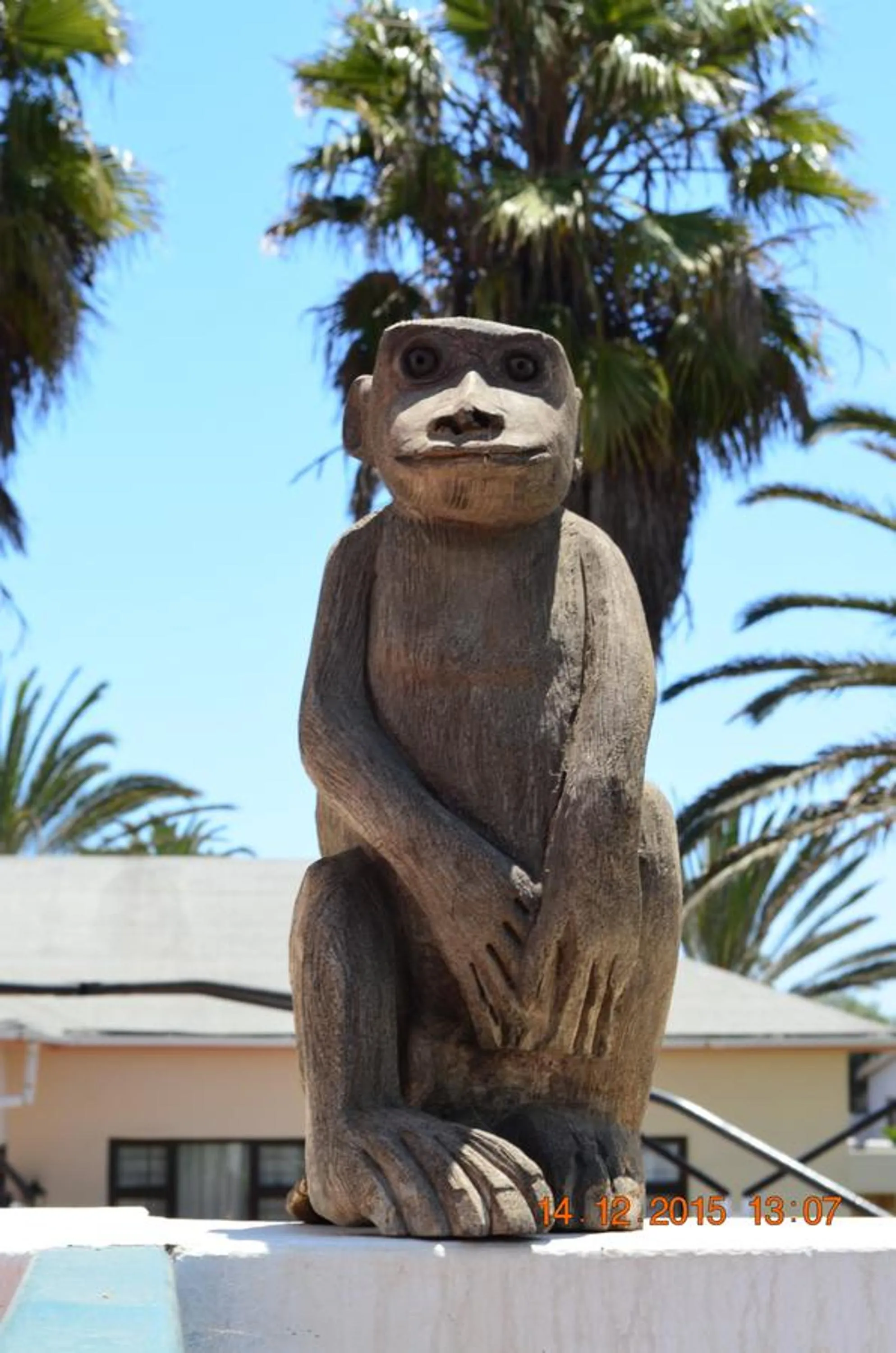 Animals in Langholm Hotel