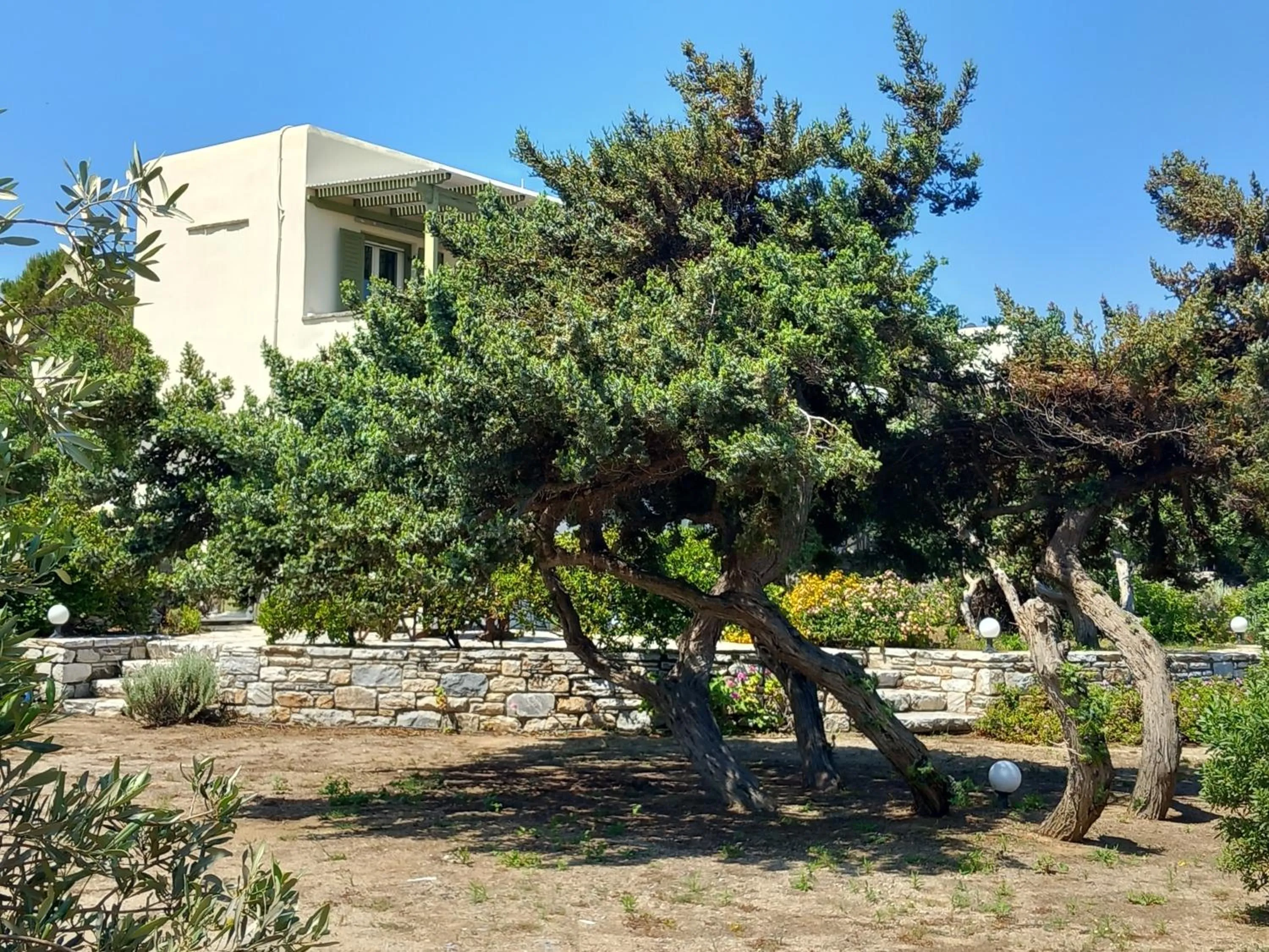 Garden in Kedros Villas