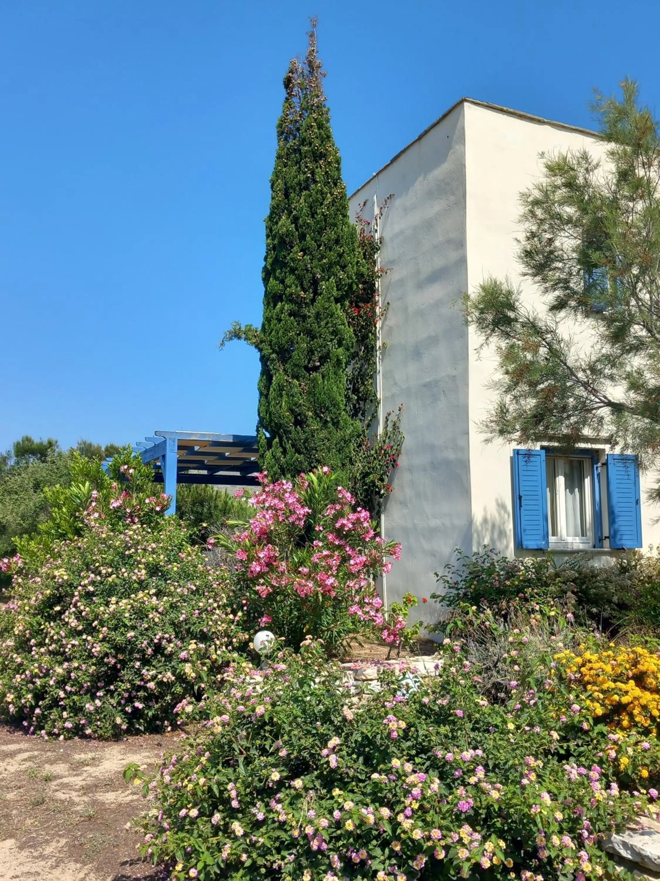 Garden in Kedros Villas