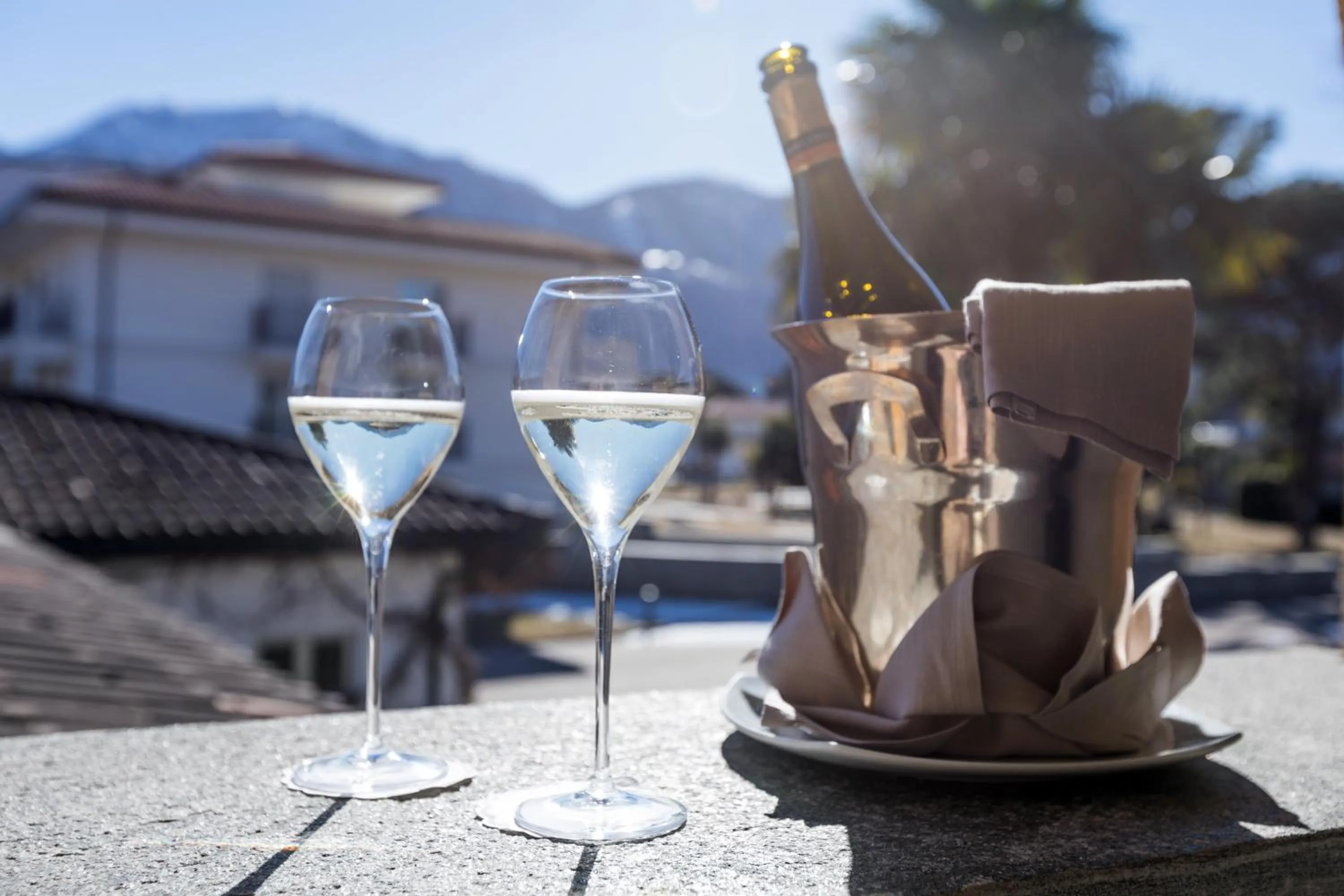 Alcoholic drinks in Villa Favorita - Parkhotel Delta