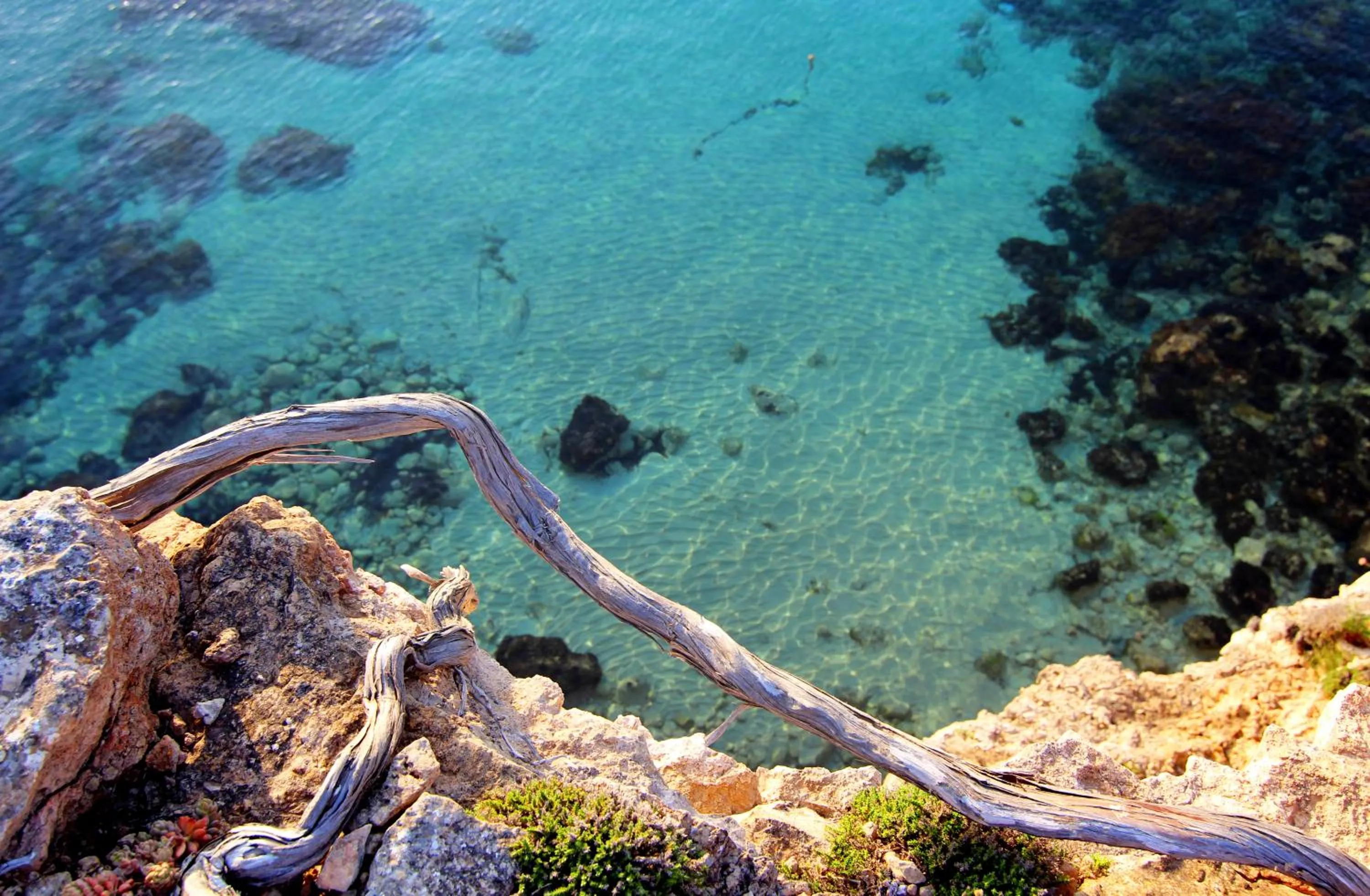Natural landscape in Gatzara Suites Santa Gertrudis