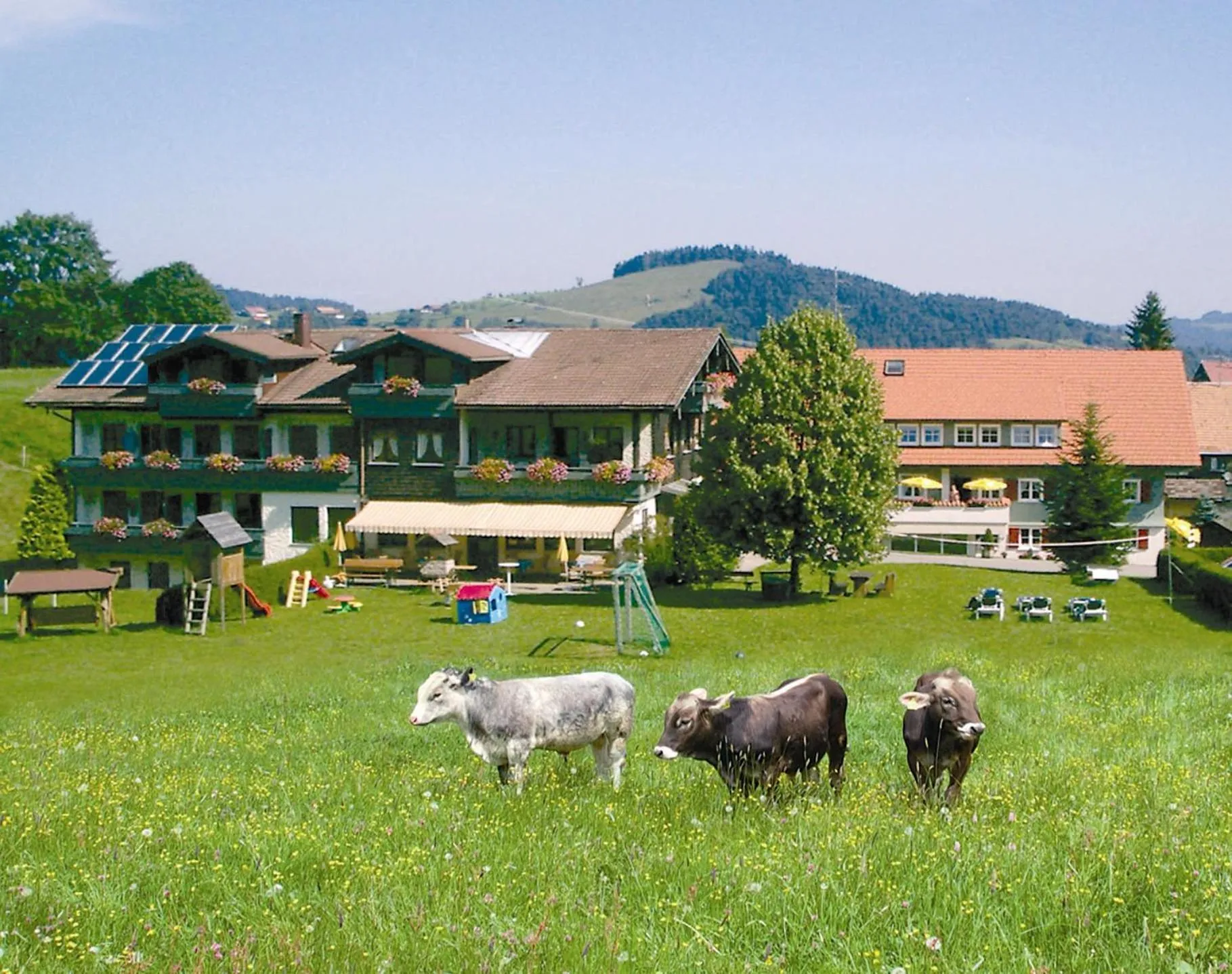 Property building in Ferienhotel Starennest