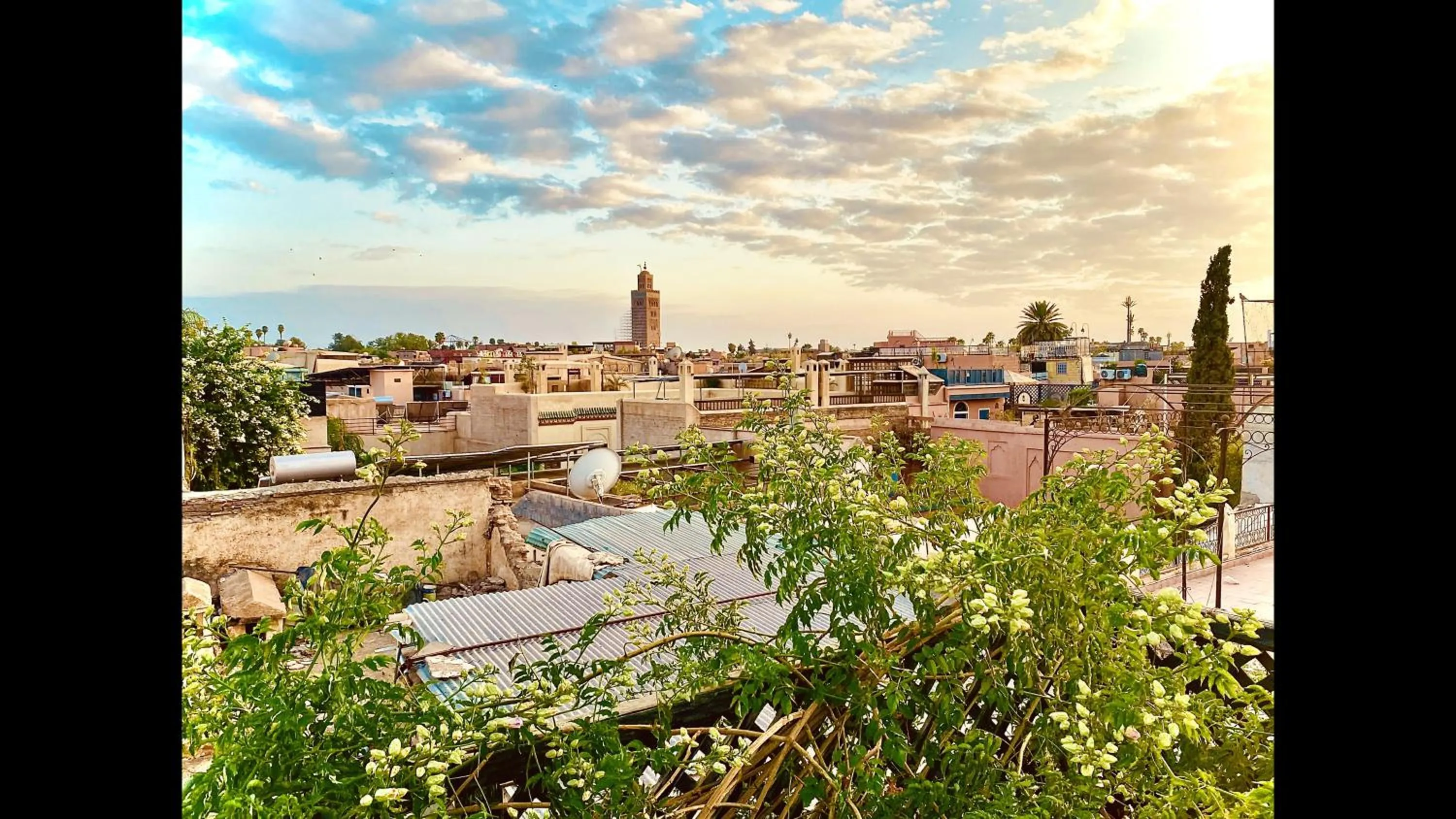 Riad le dromadaire bleu by Weekome