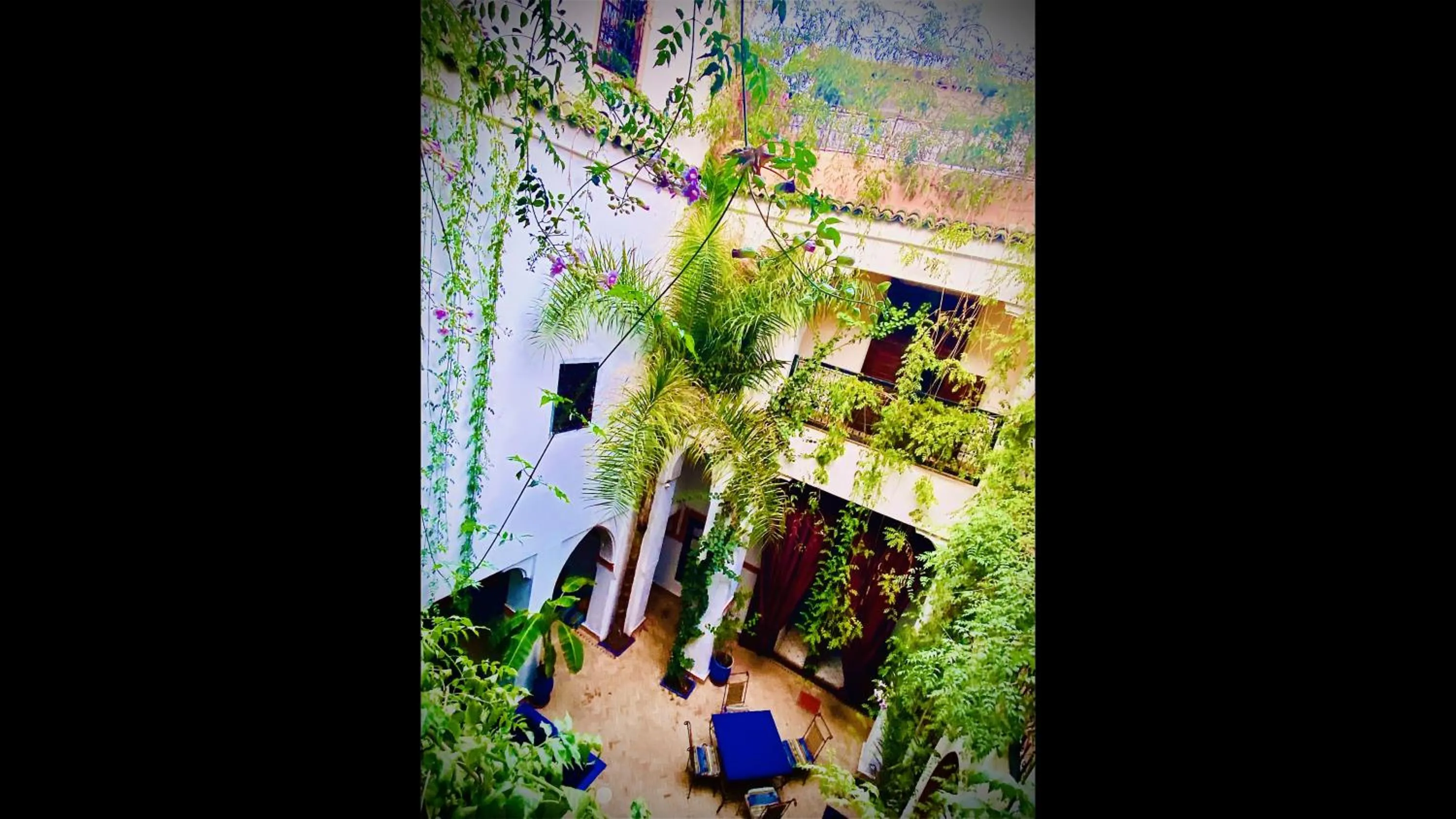 Riad le dromadaire bleu by Weekome