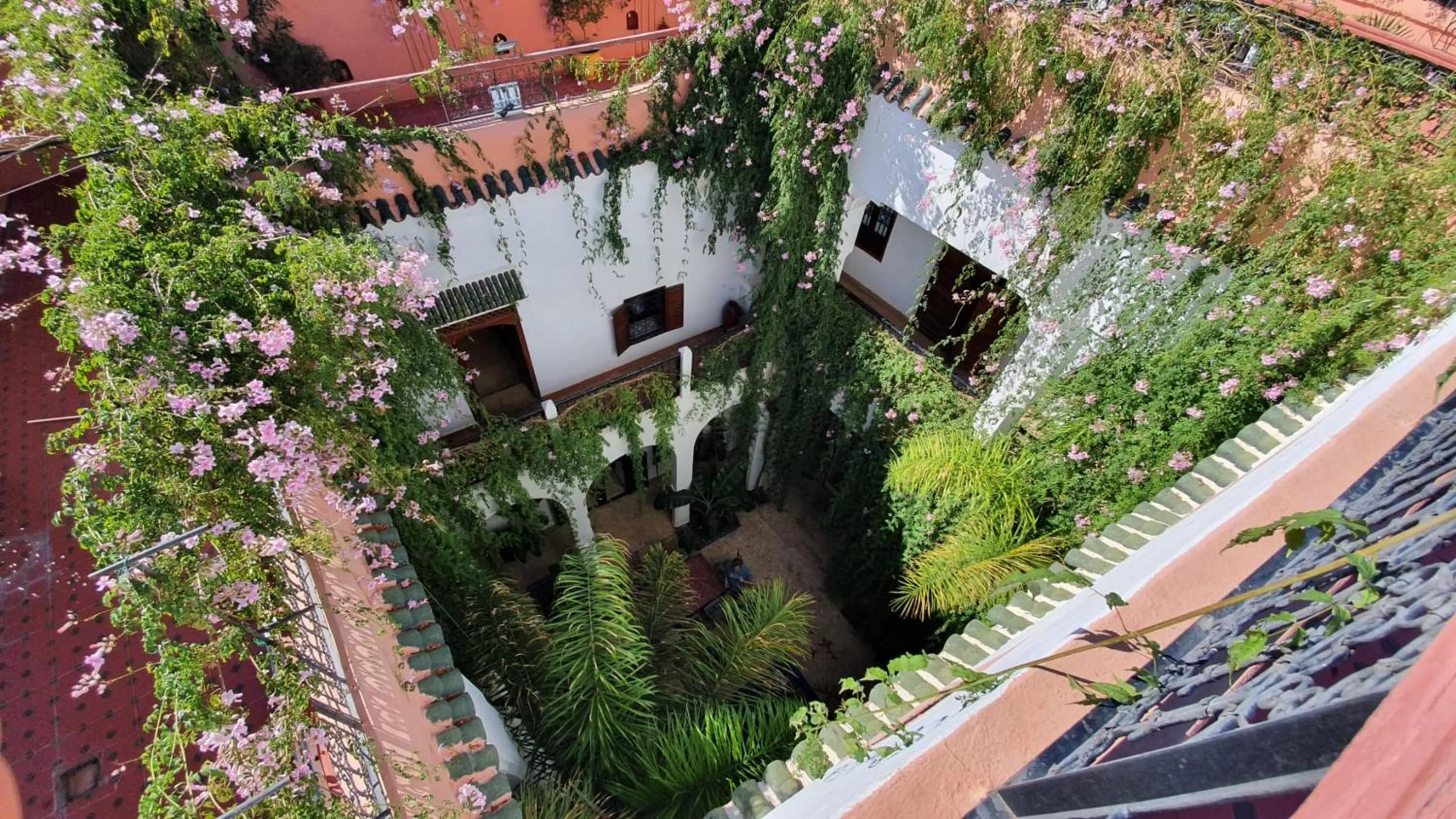 Riad le dromadaire bleu by Weekome