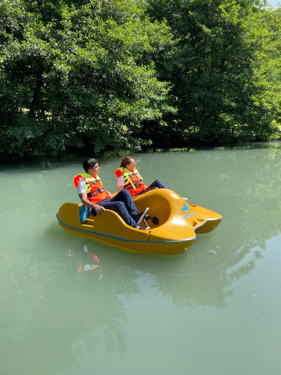 Garden in Gabala Yengice Thermal Resort Hotel