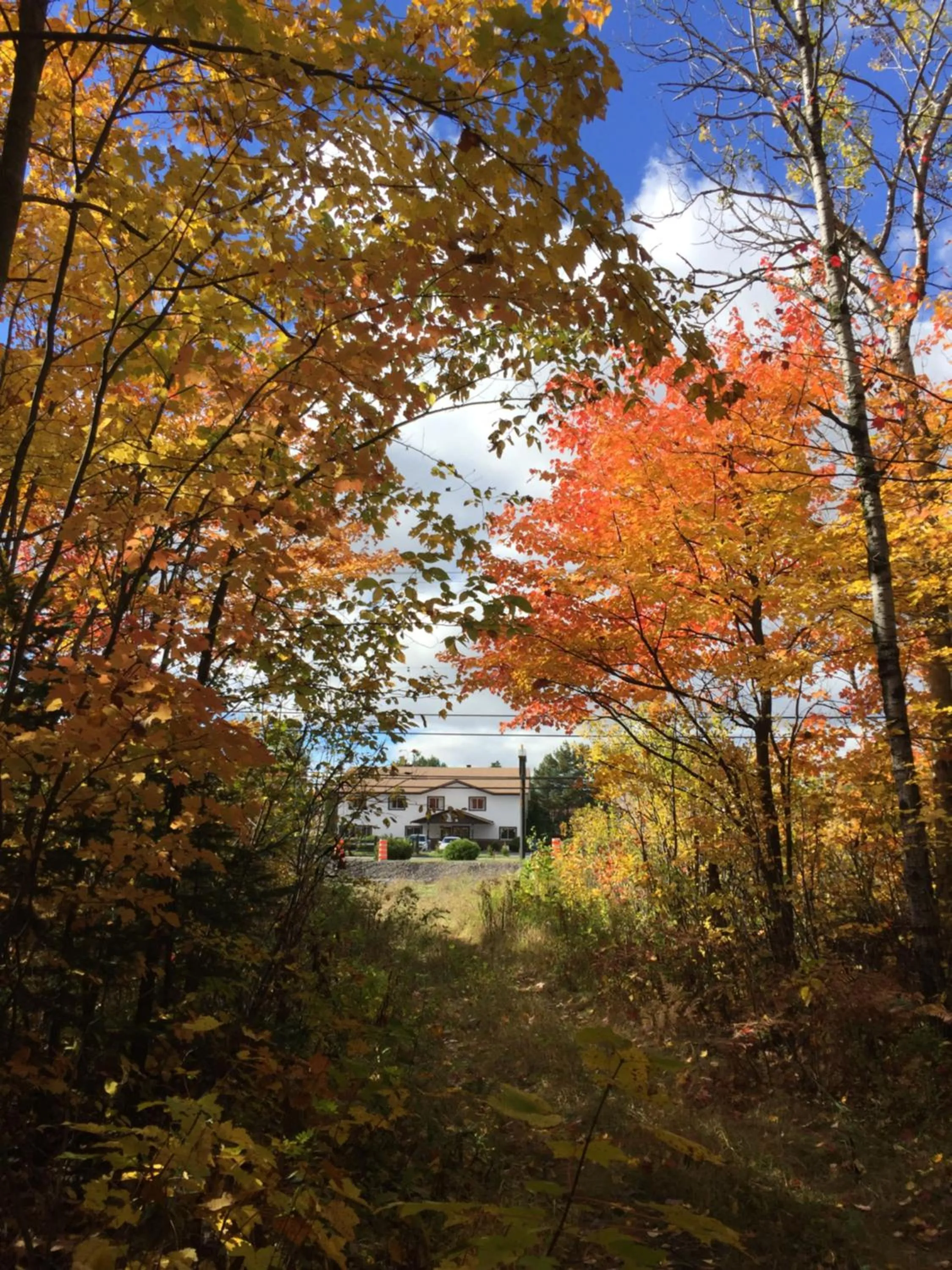 Property building in Auberge motel drakkar