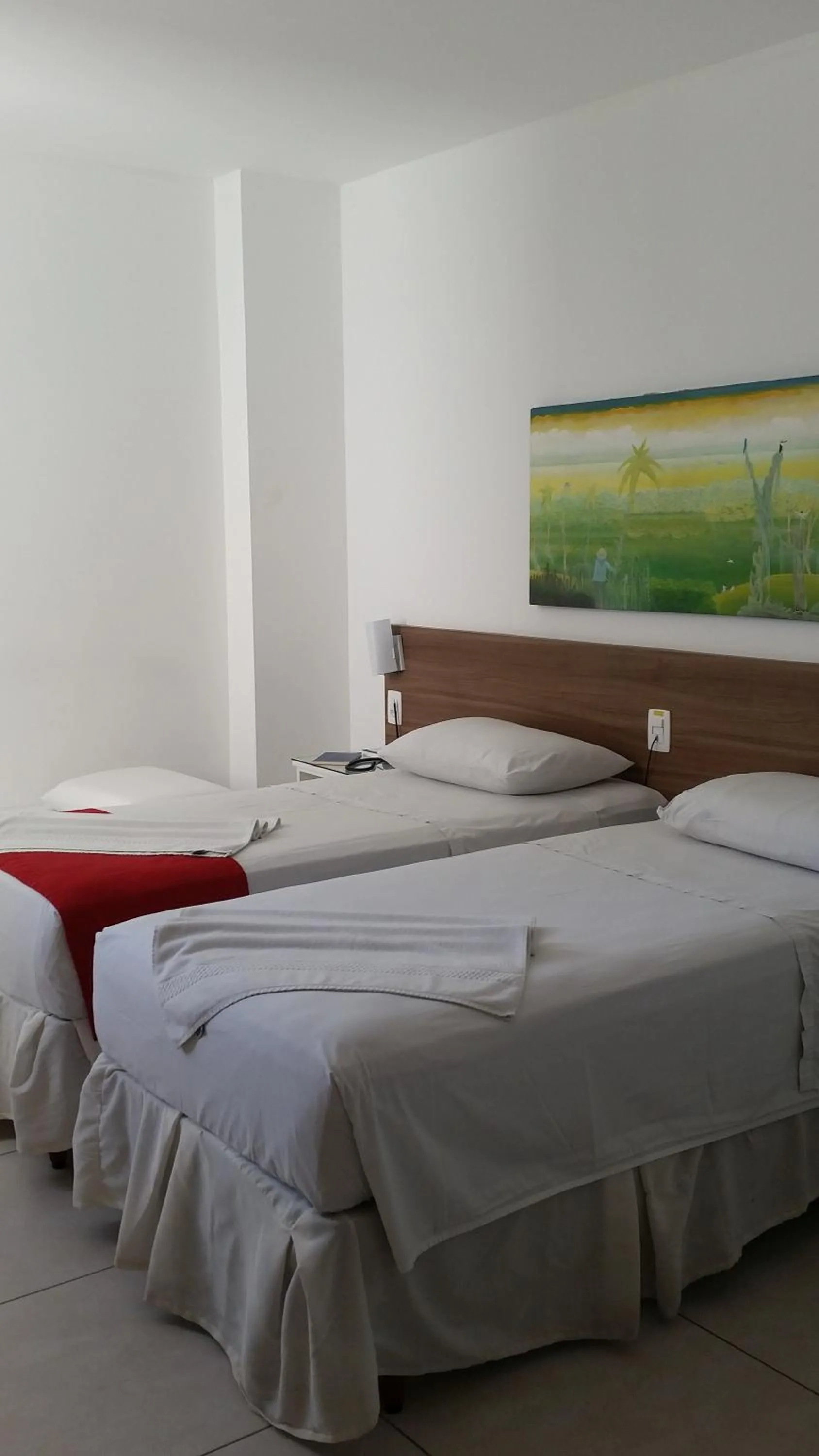 Double Room - single occupancy in Palace Hotel