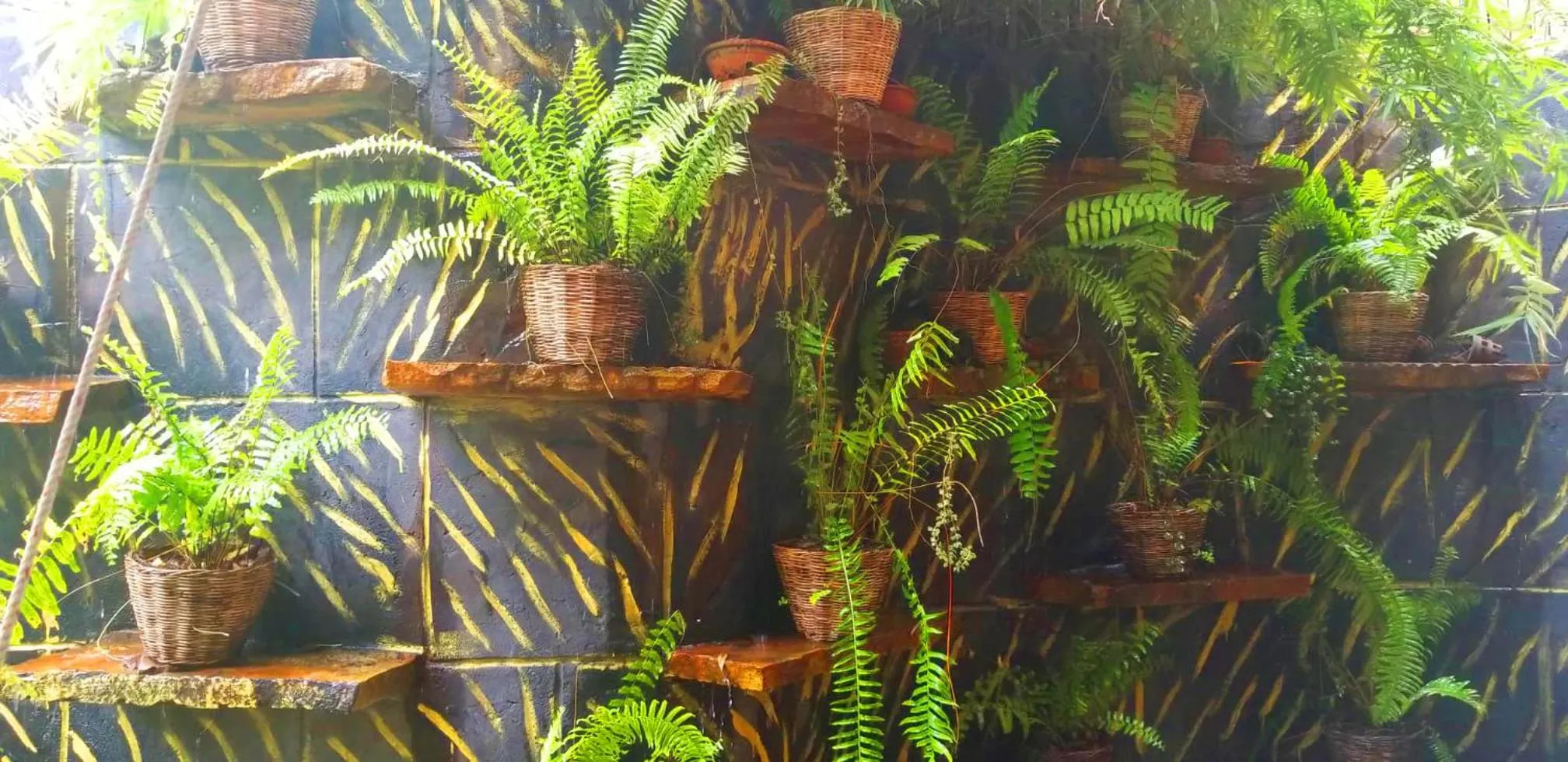 Garden in Le Jardin d'Angkor Hotel & Resort