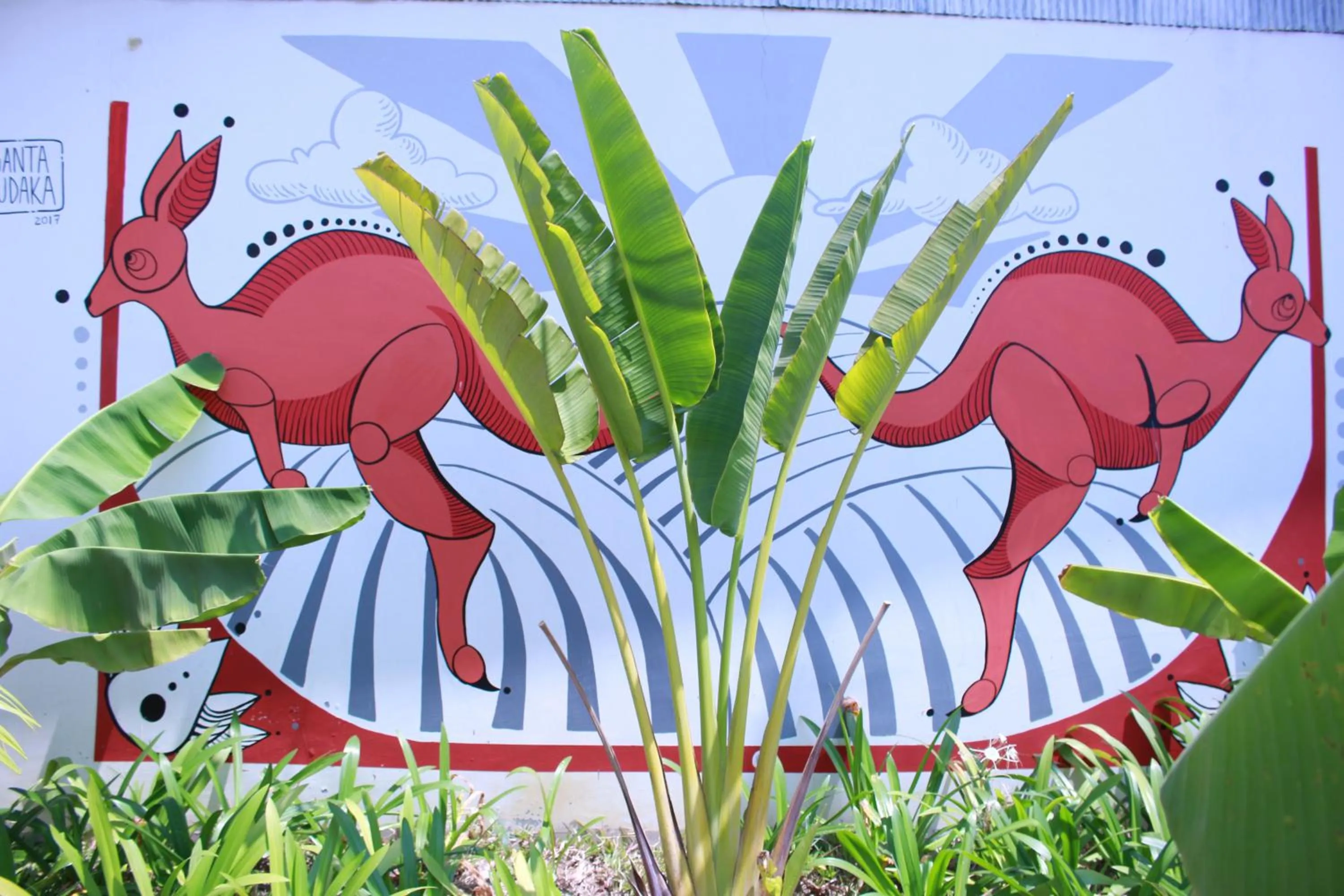 Garden in Pool Party Hostel