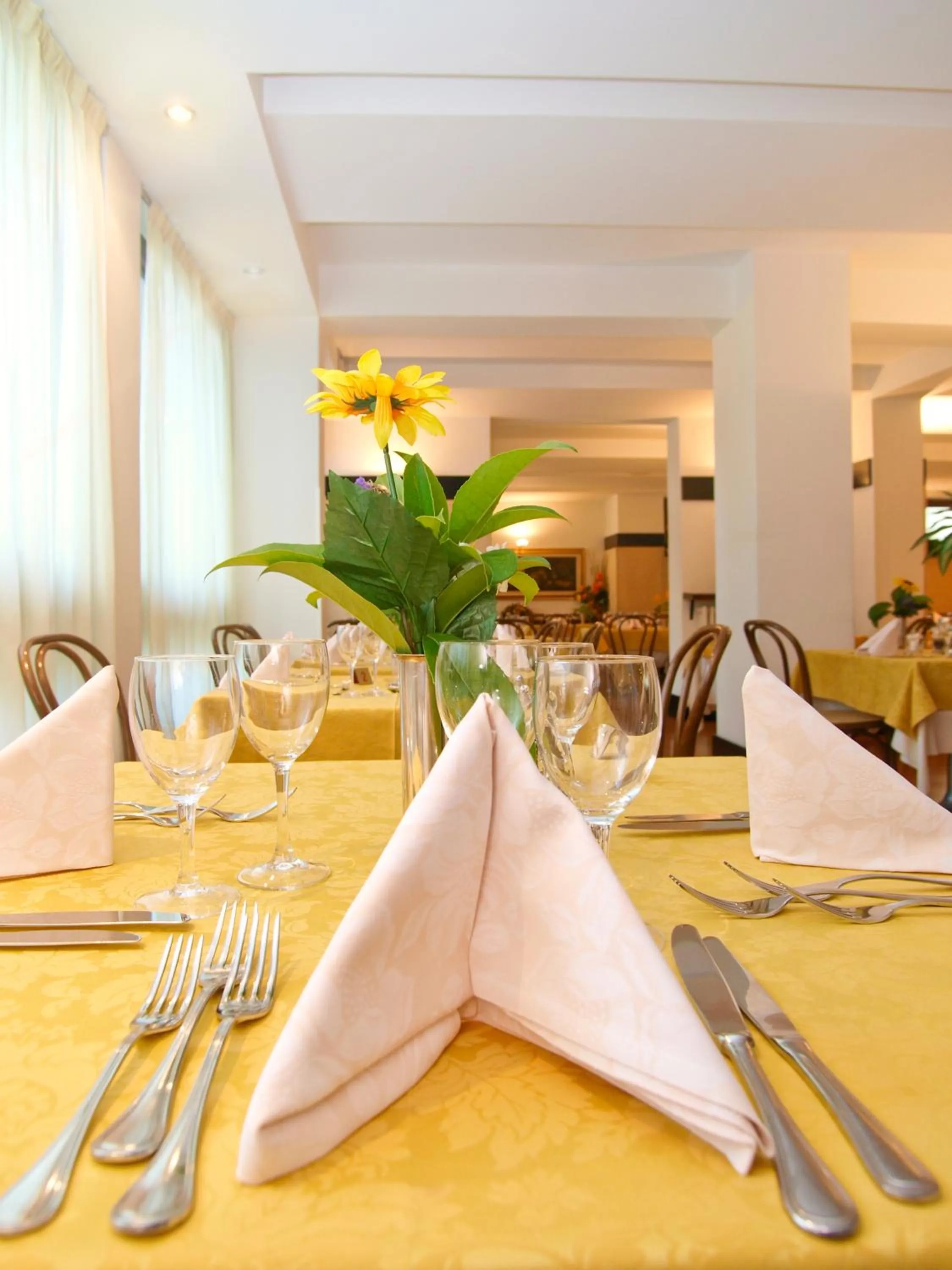 Restaurant/places to eat in Hotel Bristol