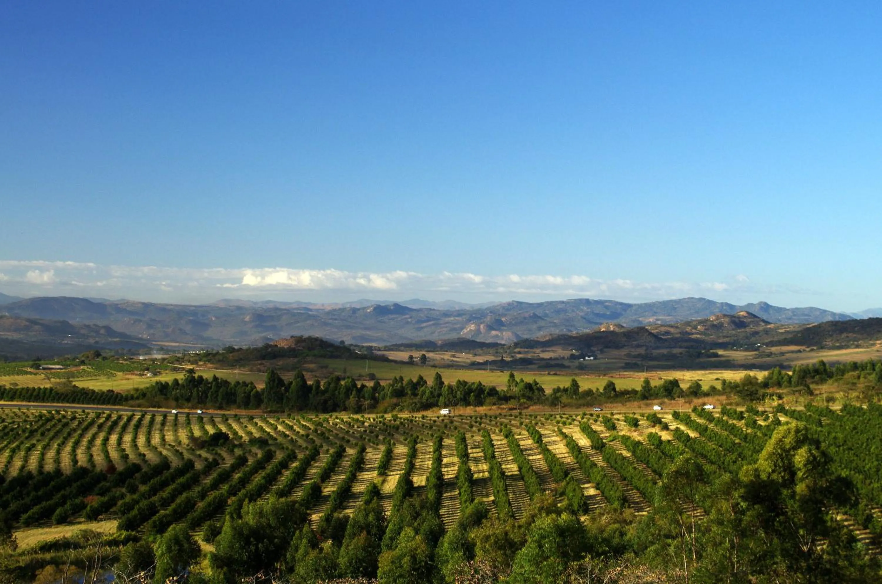 View (from property/room) in White House Lodge