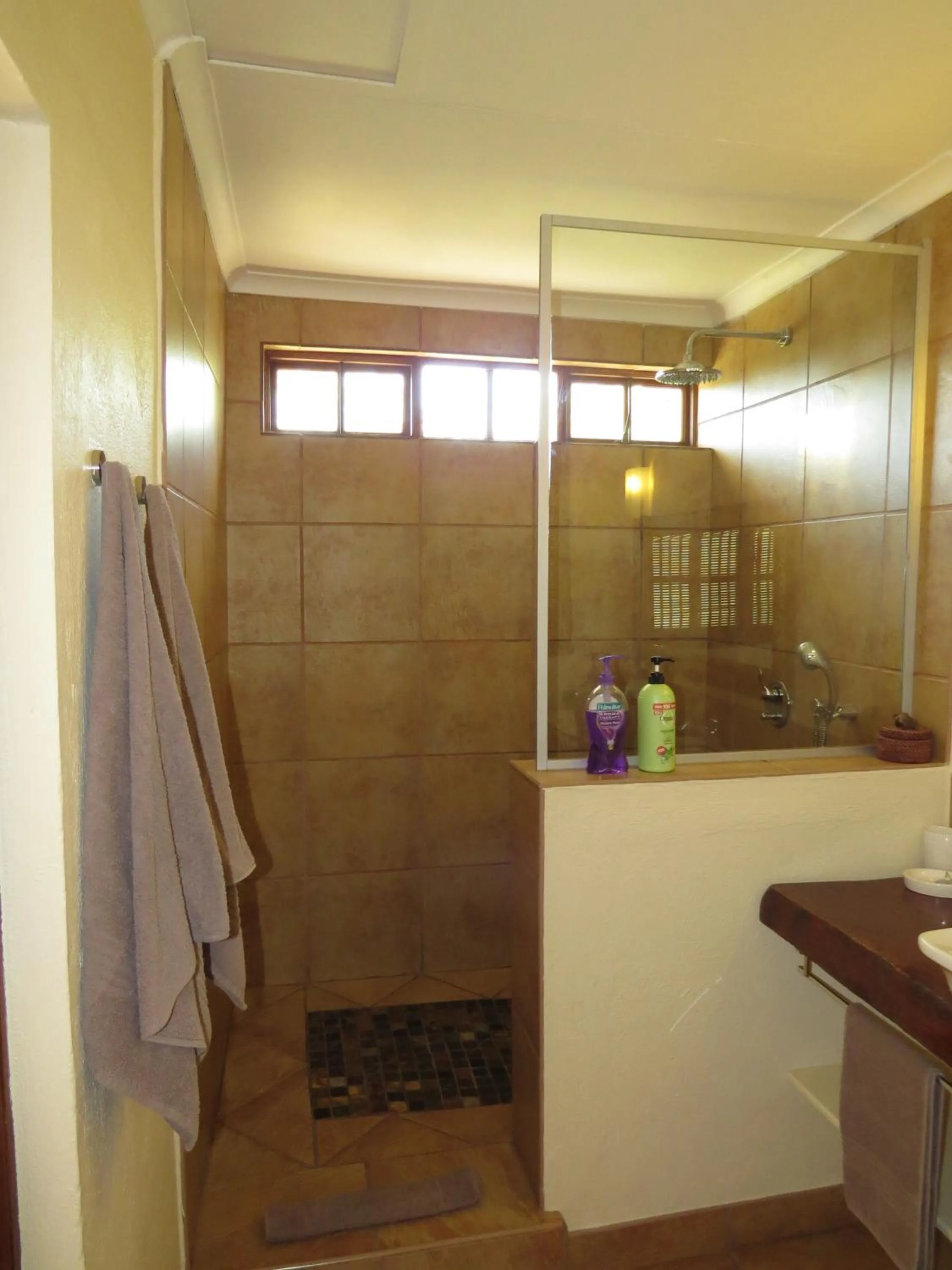 Shower in White House Lodge