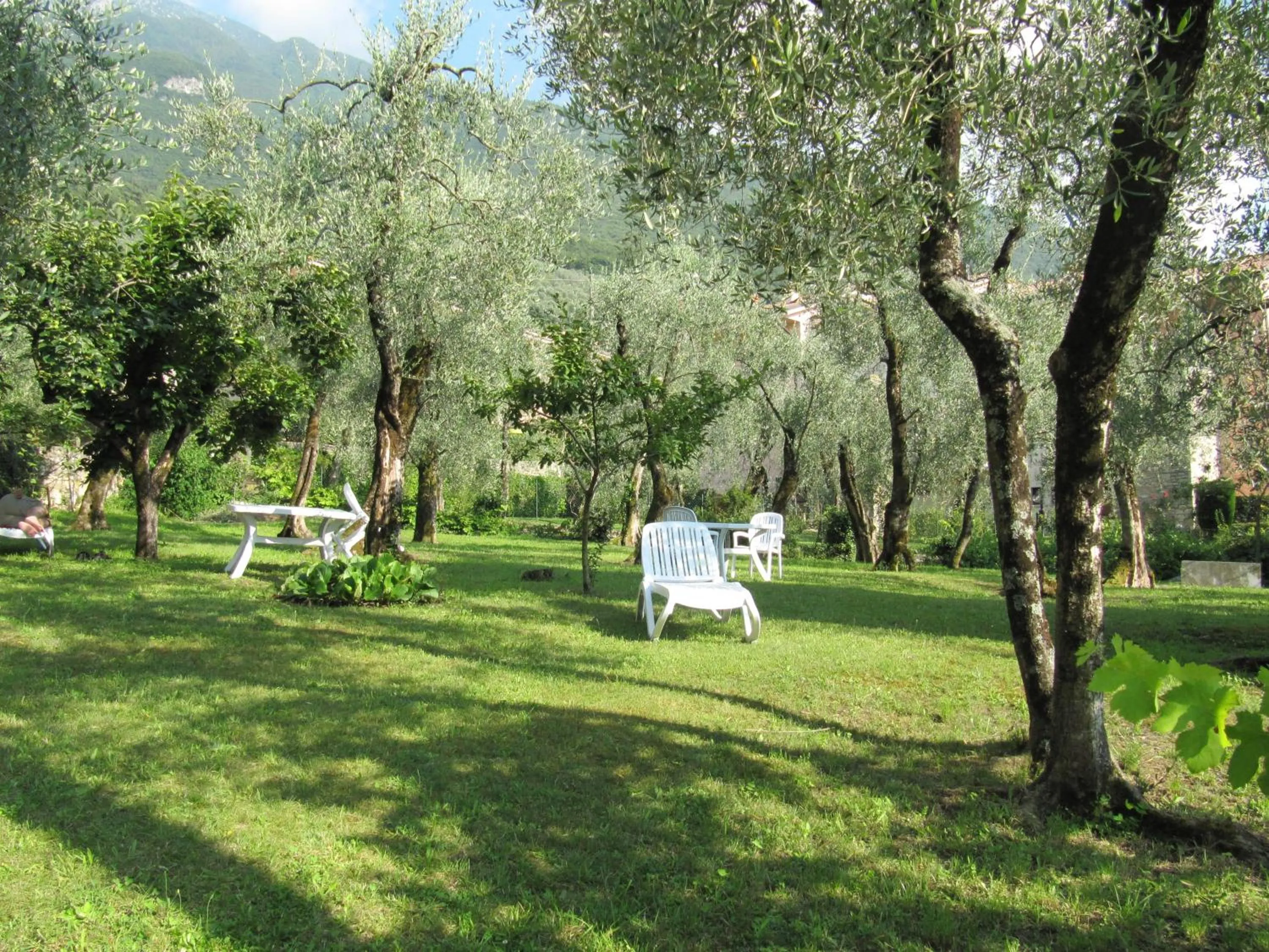 Garden in Hotel Carlo