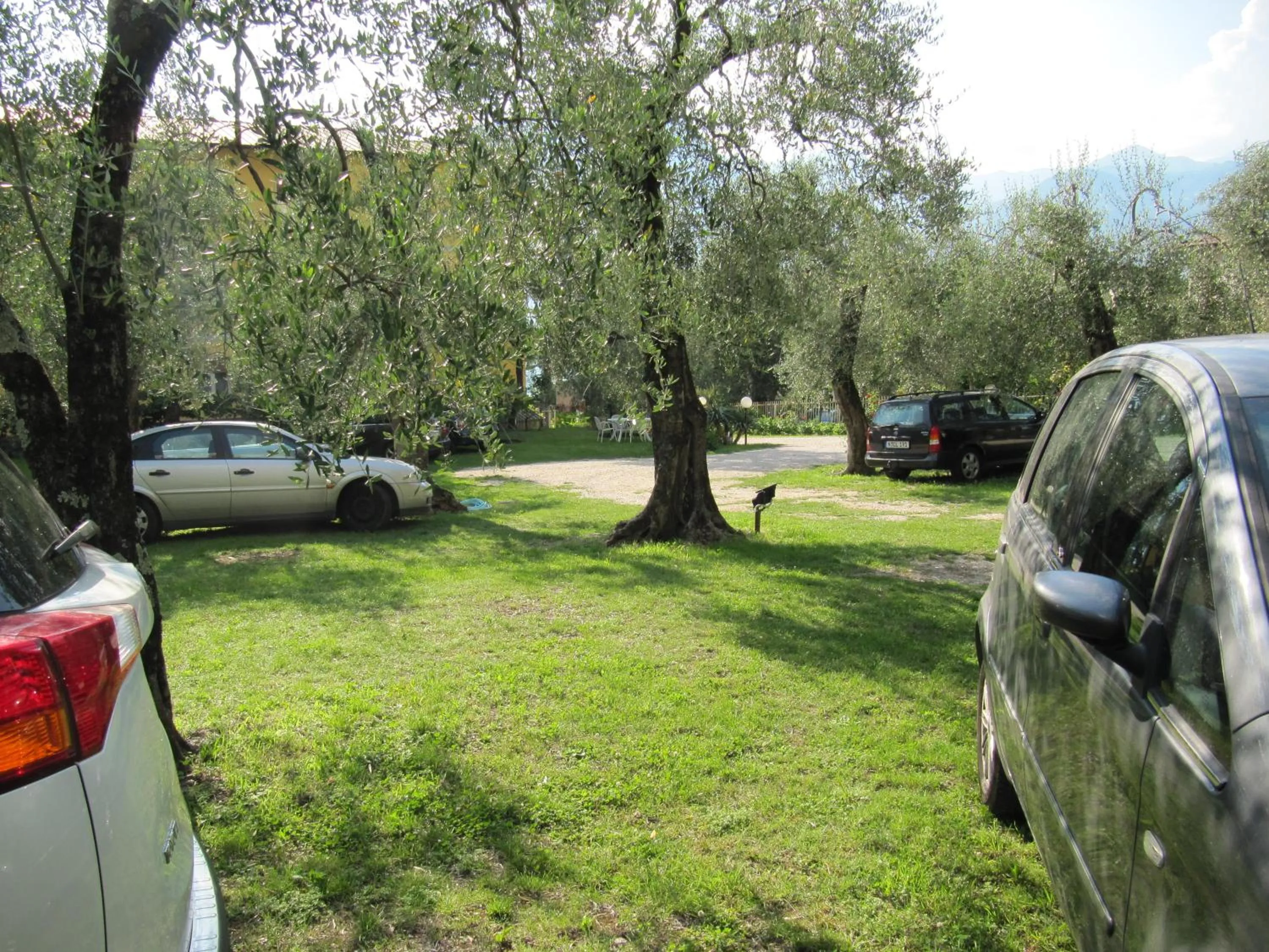 Garden in Hotel Carlo