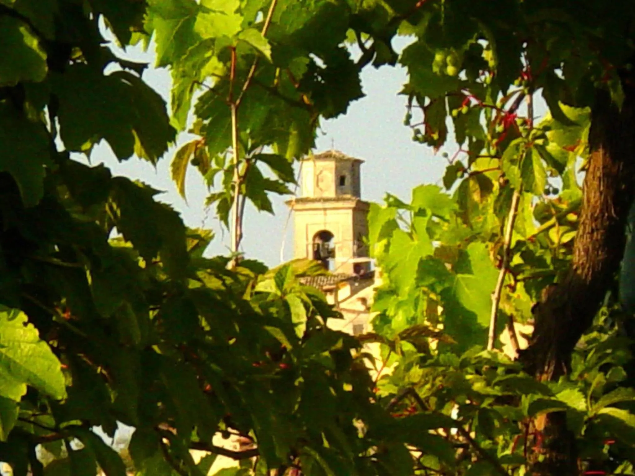 Nearby landmark in Locanda San Marco