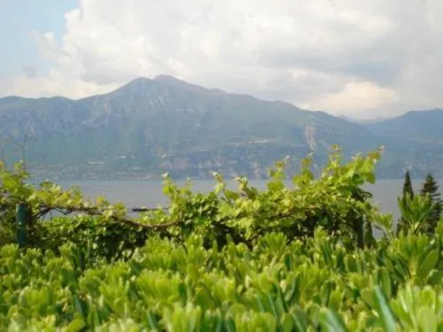 Natural landscape in Locanda San Marco