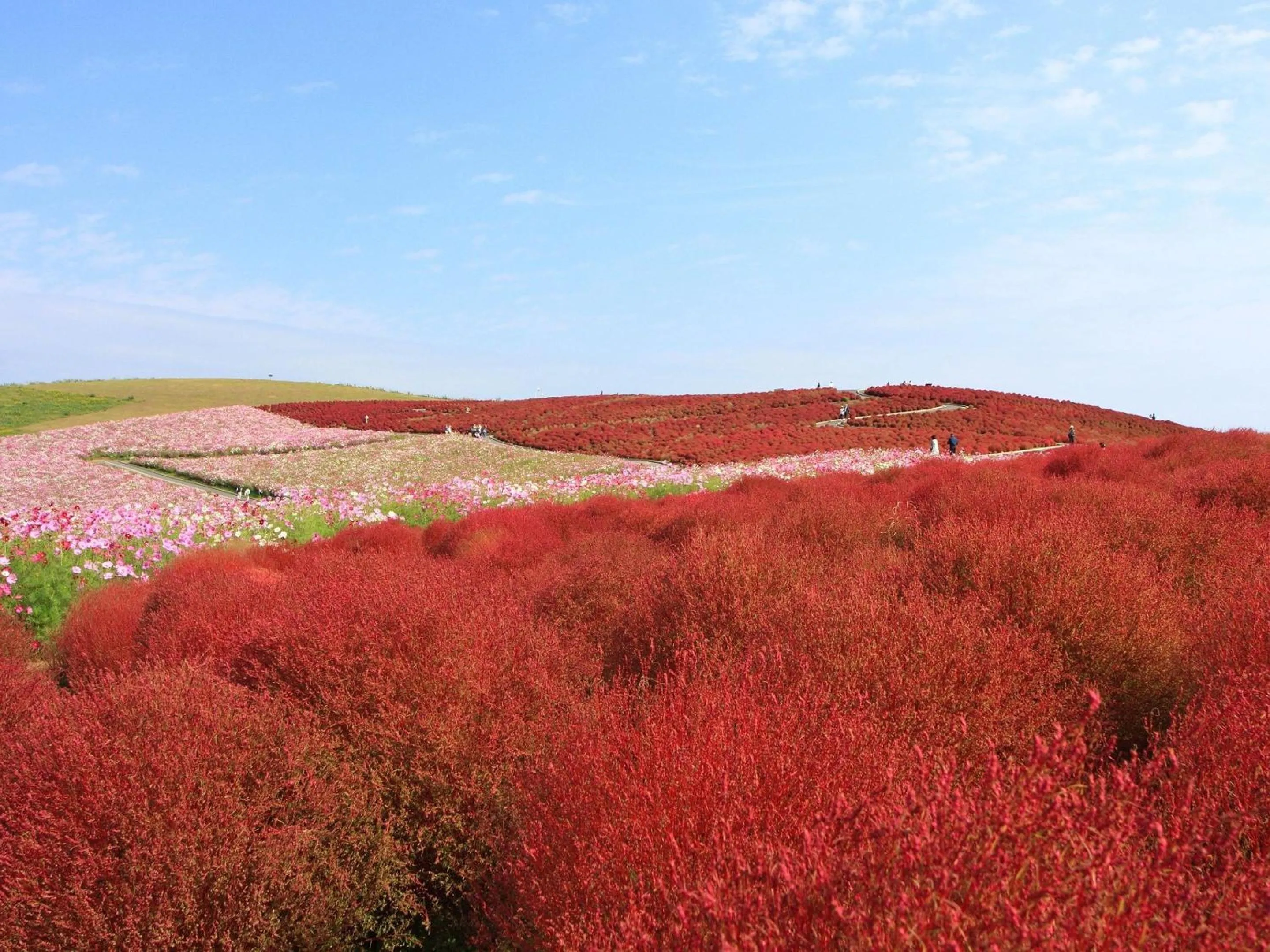 Nearby landmark in KOKO STAY Hitachi- formerly Hotel Wing International Hitachi