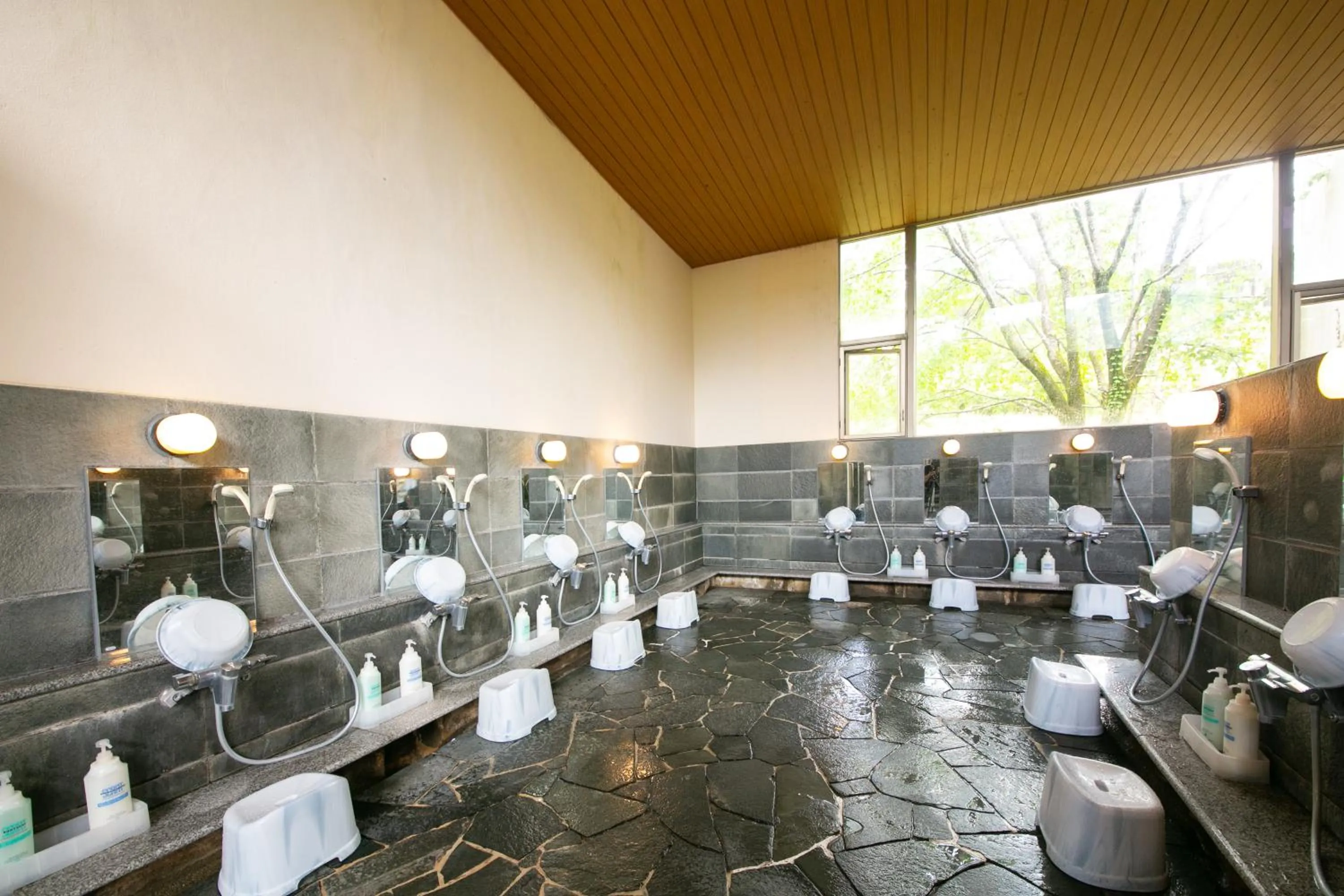 Hot Spring Bath in Hotel Miki