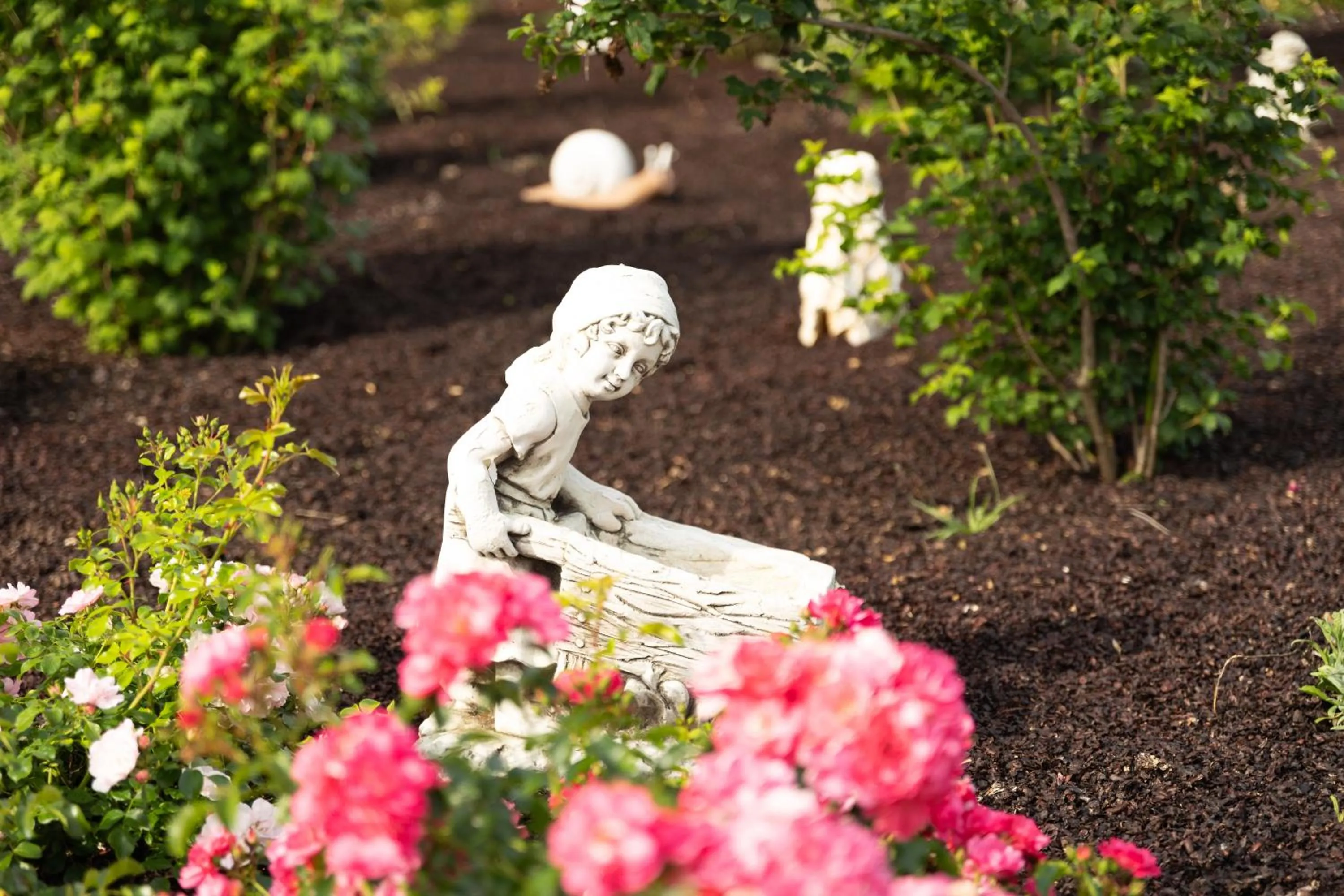 Garden view in Chambre d'Hôte Les Ondines