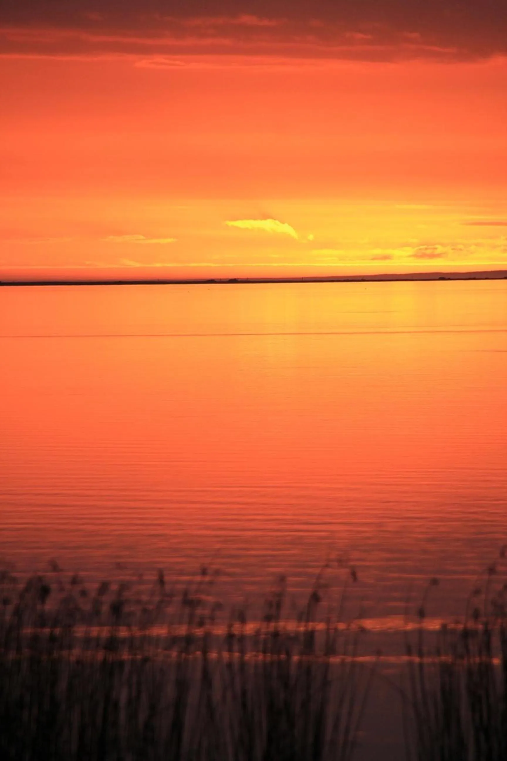 Lake view in Lake Albert Motel