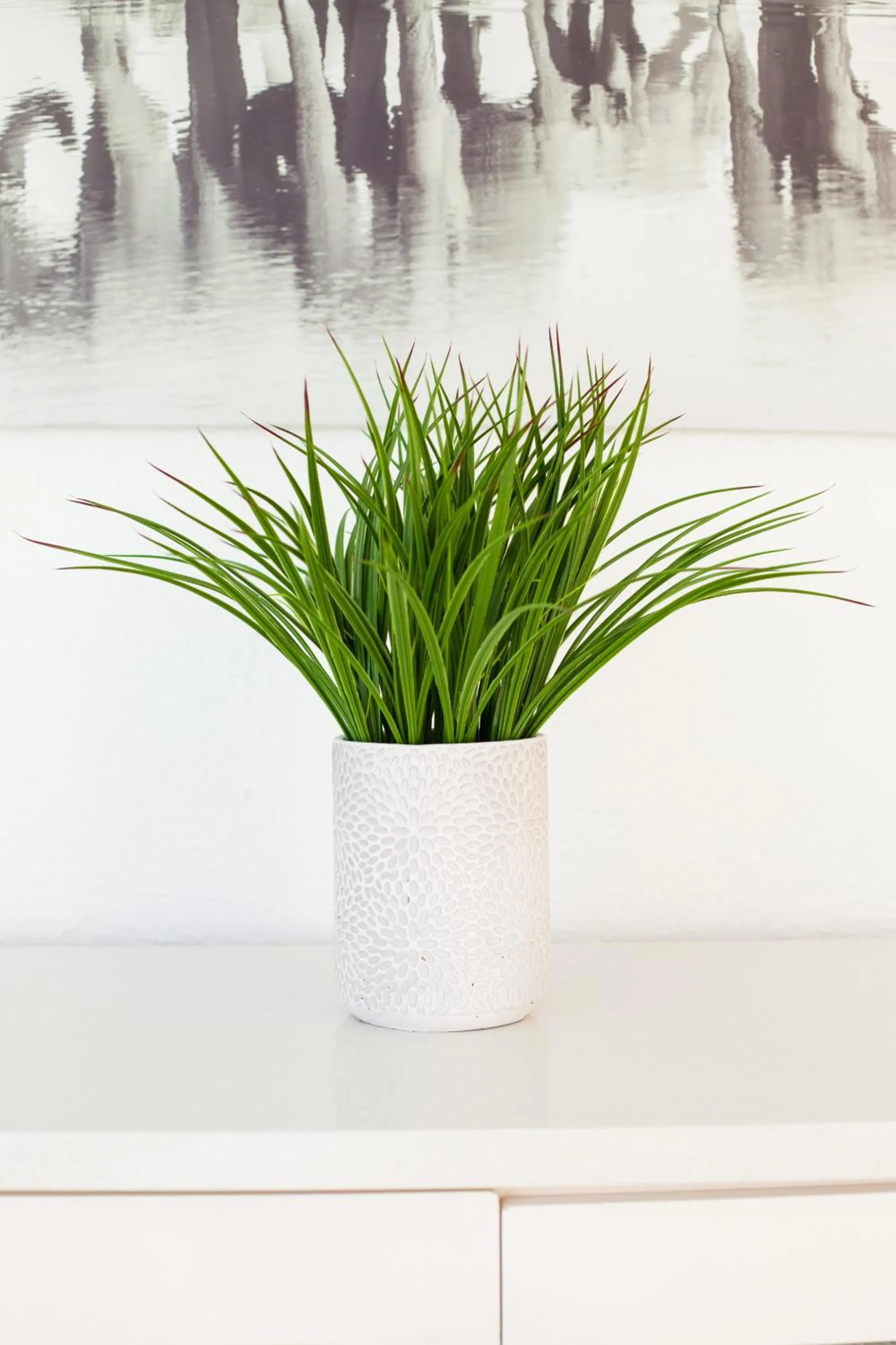 Decorative detail in Funkey Villas Cape Town