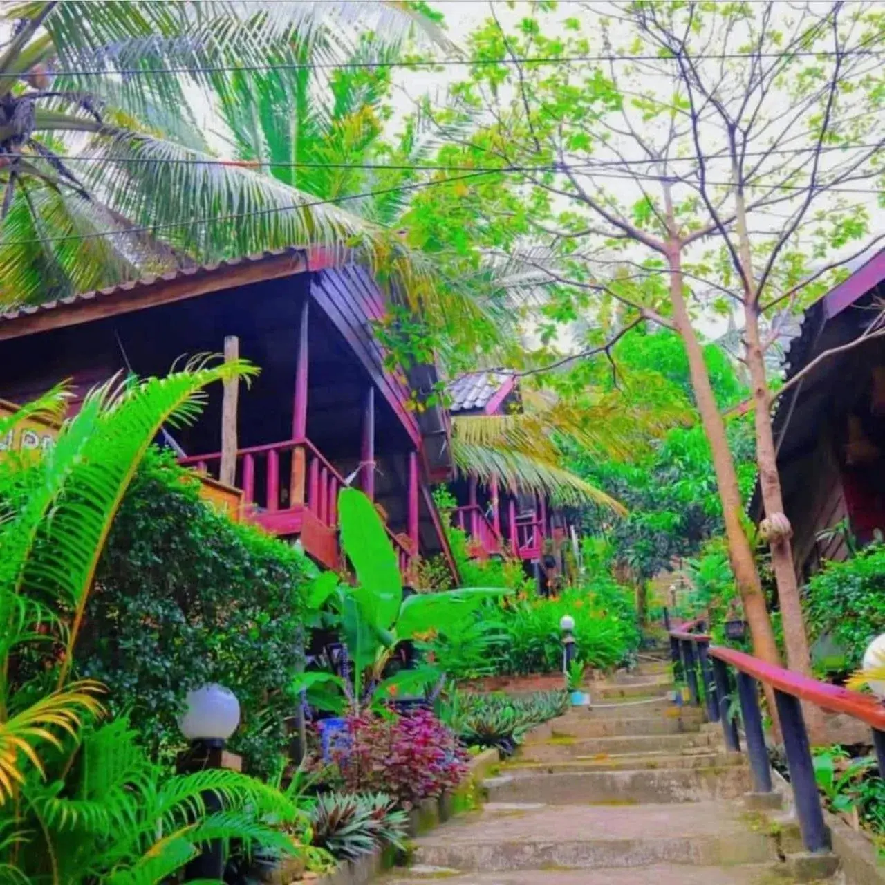 Property building in Happy Elephant Bungalows Property building in Happy Elephant Bungalows