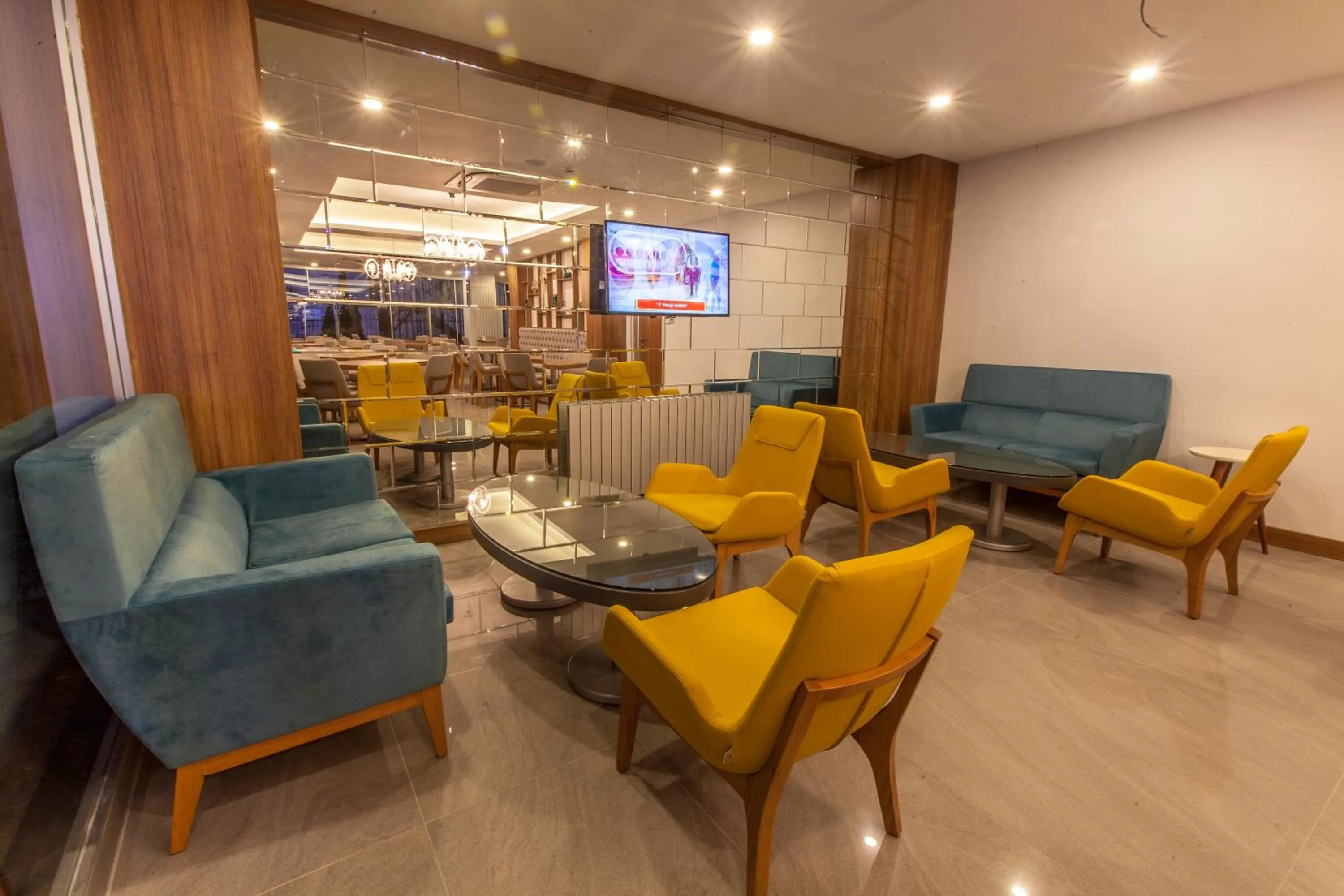 Communal lounge/ TV room in Business Palas Otel