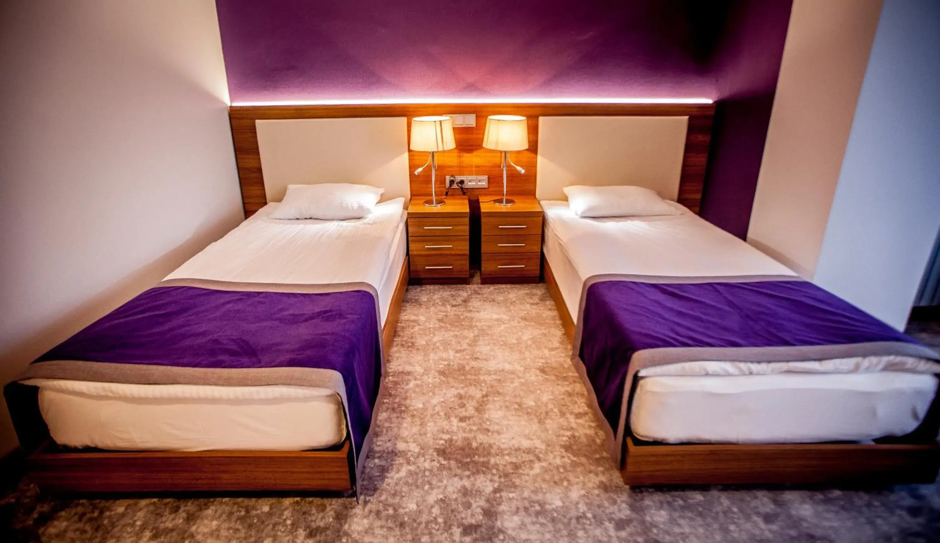 Standard Twin Room in Business Palas Otel Standard Twin Room in Business Palas Otel