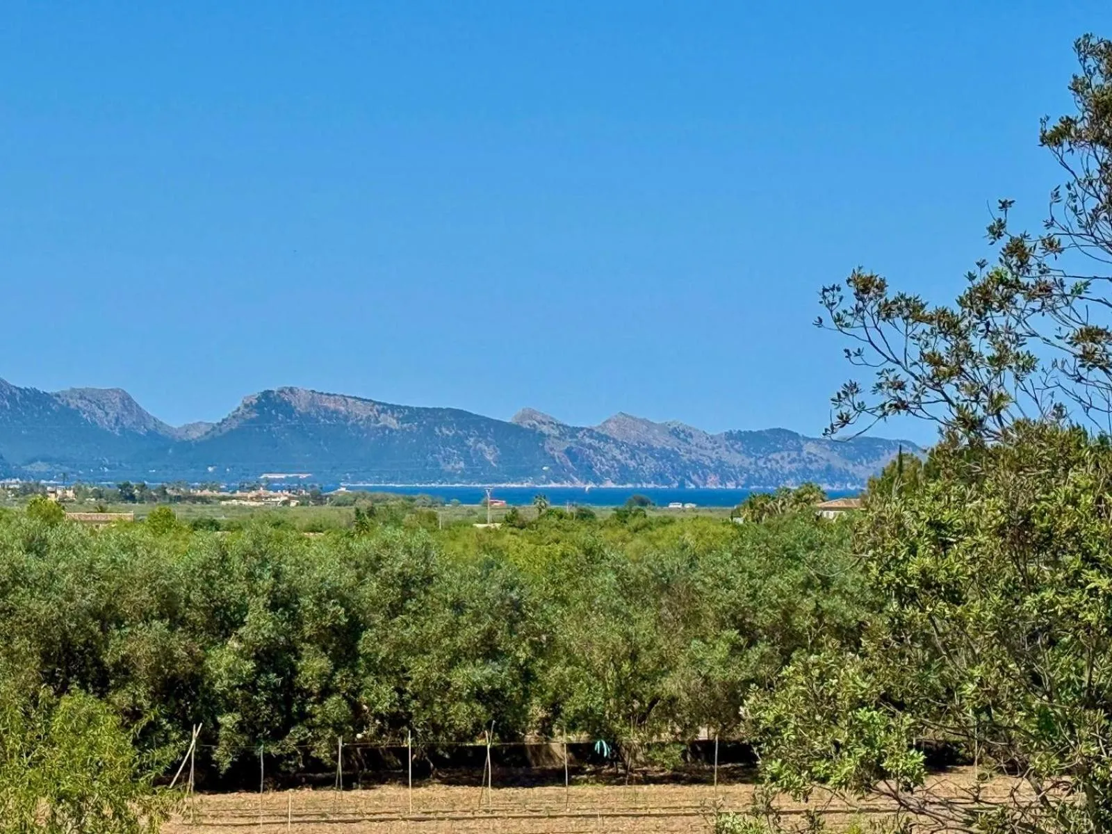 Sea view in Sa Figuera Roja