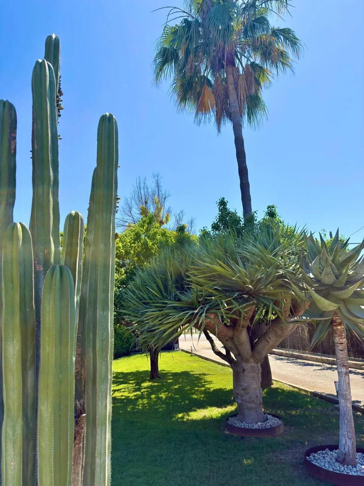 Garden in Sa Figuera Roja