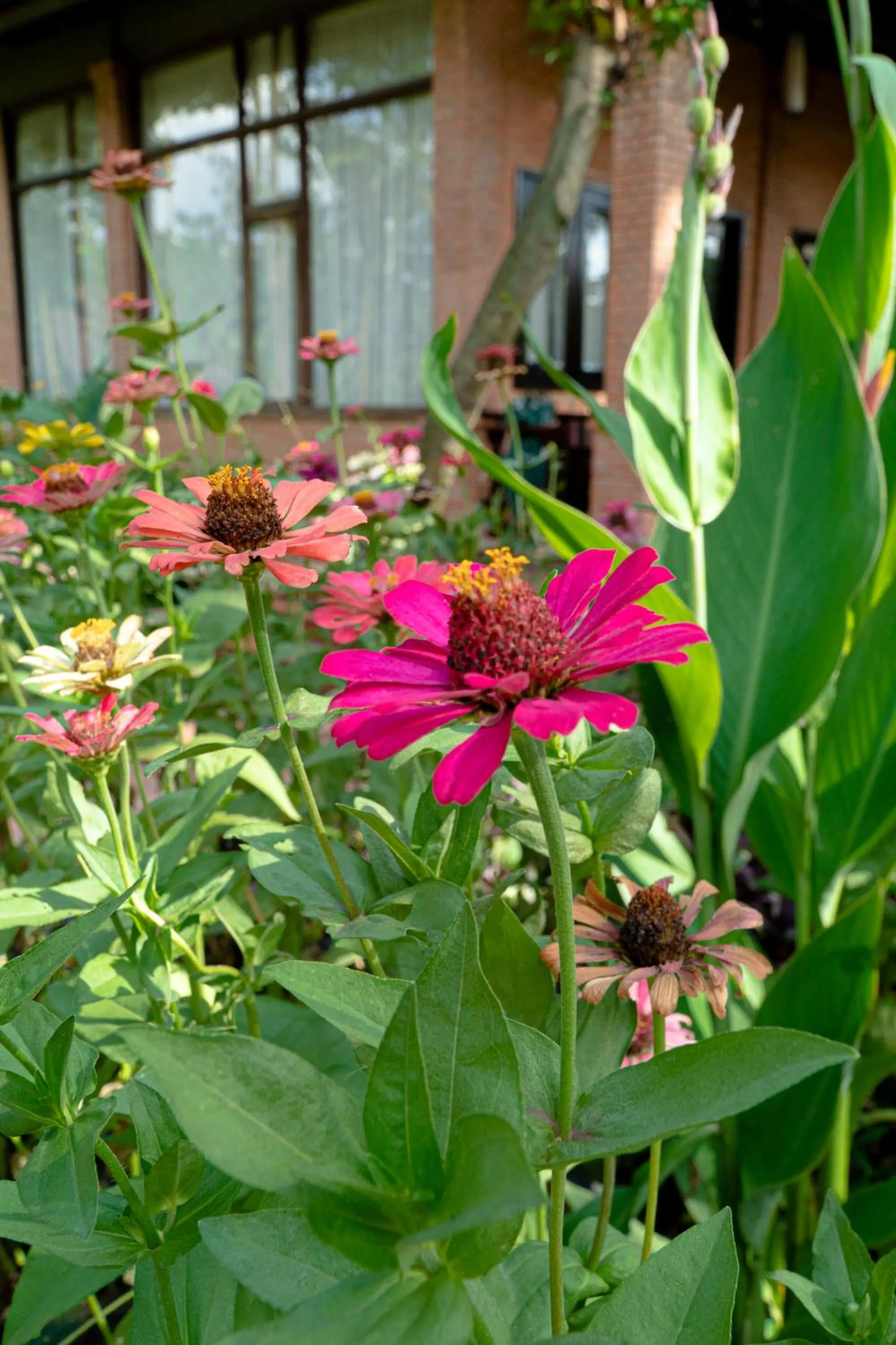 Mekong Long Thanh Resort & Reststop