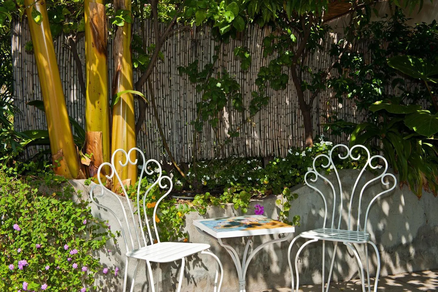 Balcony/Terrace in Villa Rosa