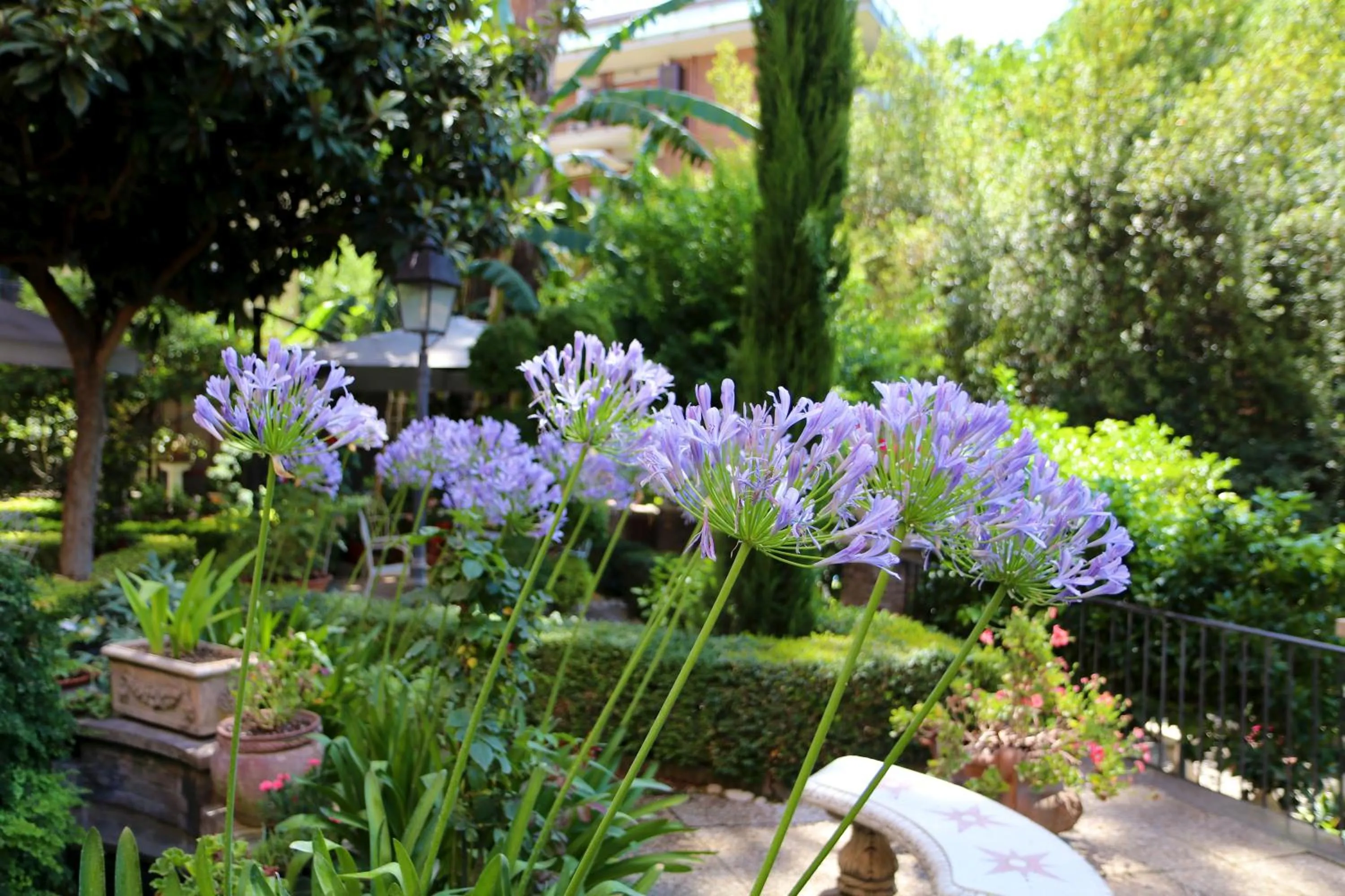 Garden in Villa Matissa