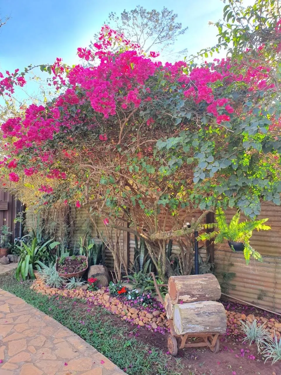 Natural landscape in Estância das Angolas - Inhotim
